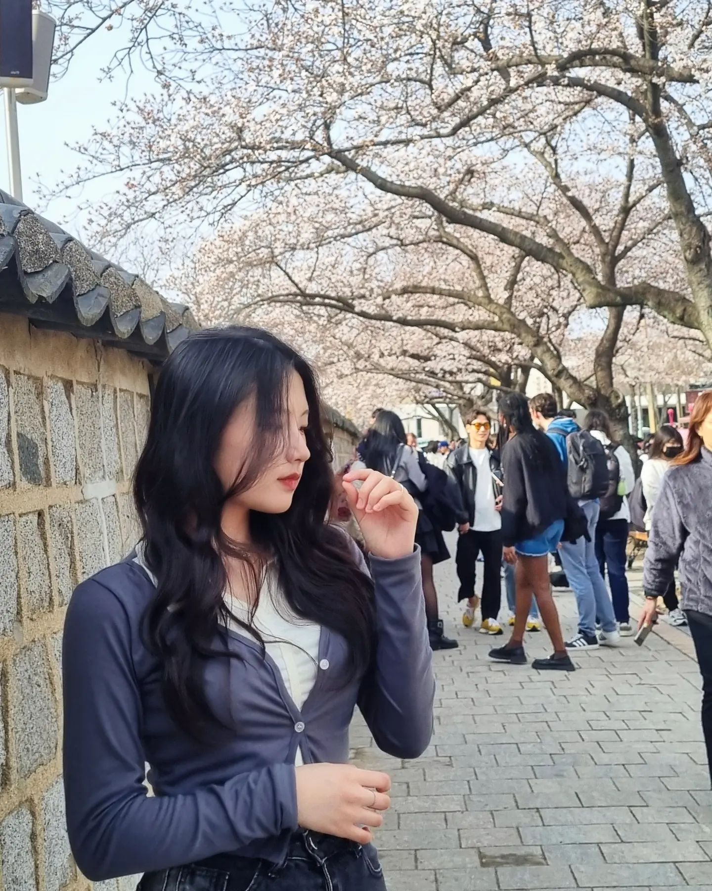 🌸

#07 #07년생 #경주 #경북 #포항 #황리단길 #돌담길 #대릉원 #대릉원돌담길 #봄 #벚꽃 #개화 #벚꽃길 #벚꽃명소 #벚꽃구경 #벚꽃축제 #경주벚꽃축제 #08 #06 #05 #04 #03