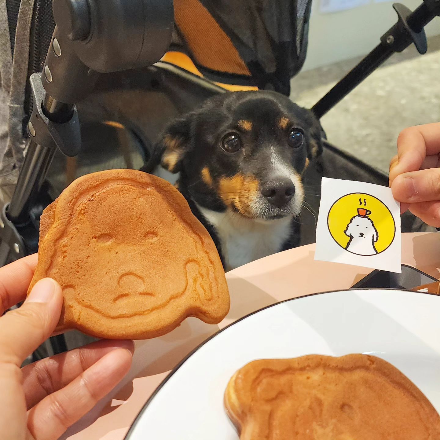 엄마,
그거 제 거 아니예요?
🐶
#냠냠 #빵순이