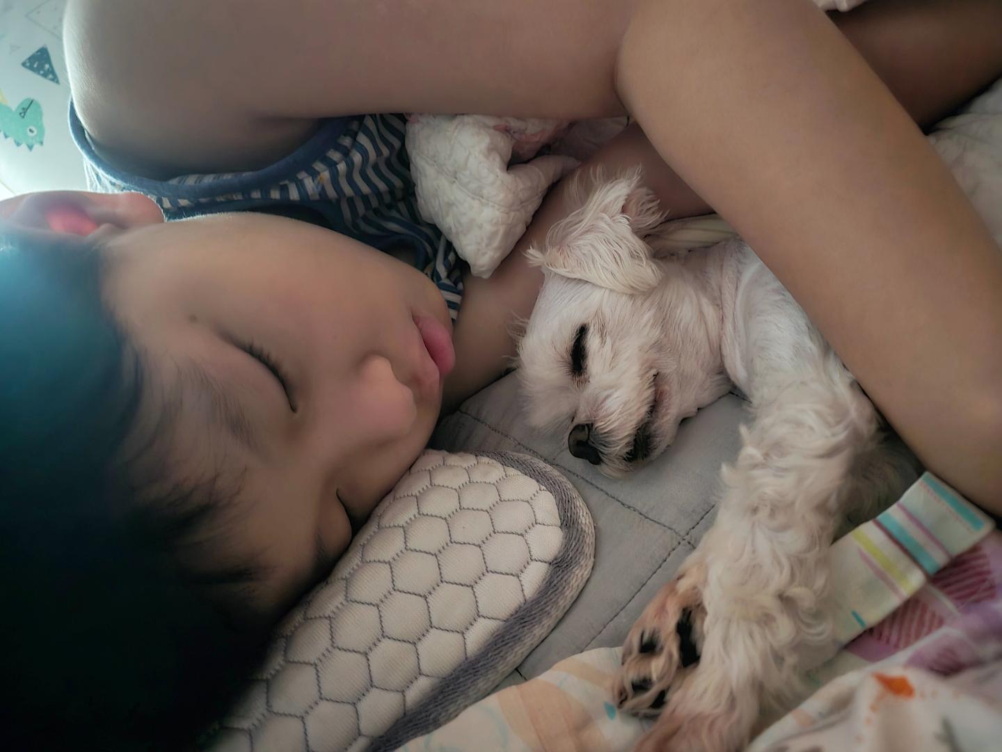 My lover🥰
#sweetheart #mylovers❤️ #doglover