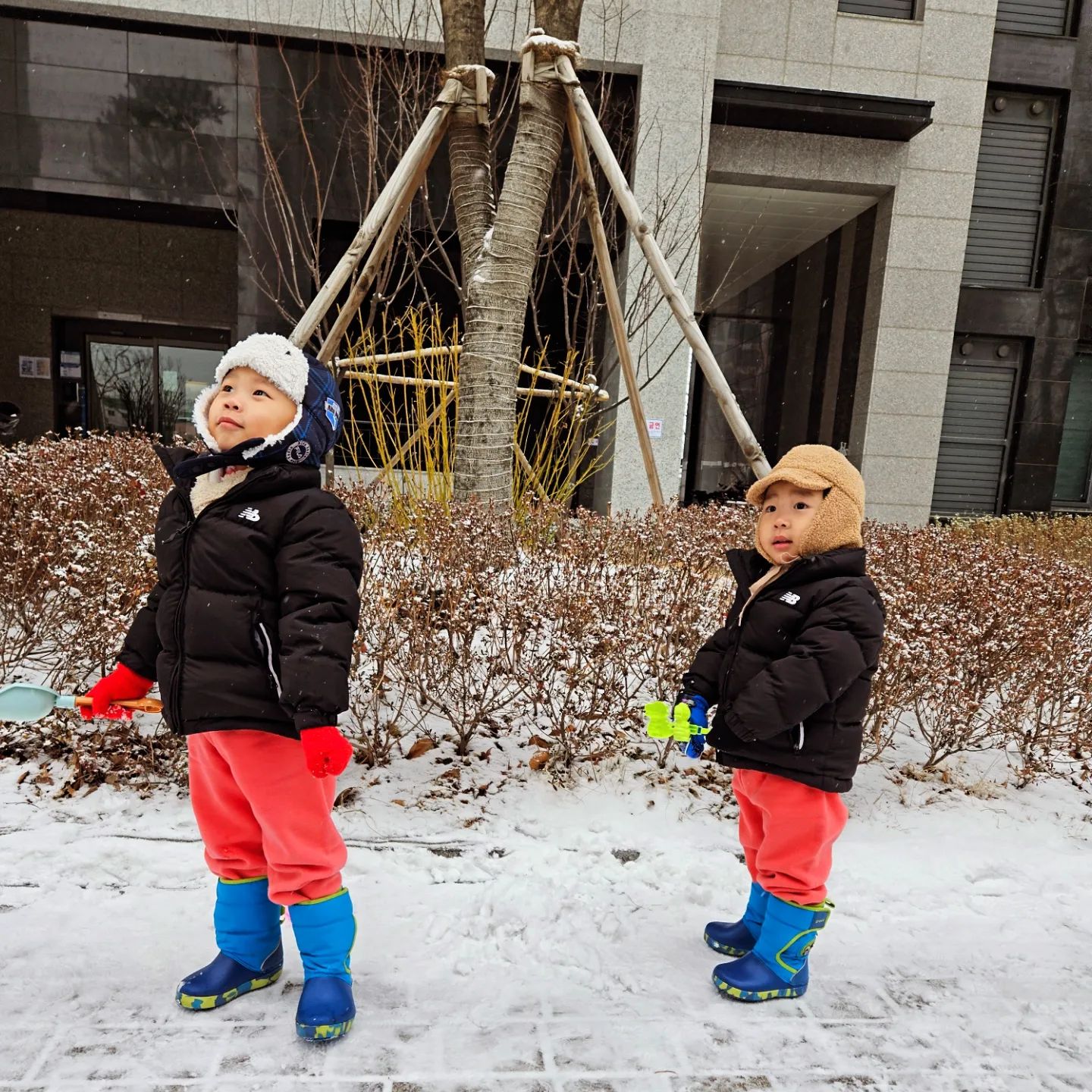 눈이 많이오니 애들은 좋네...
엄마는 실타 ㅎㅎ
⛄️ 눈놀이 하고싶다고 계속계속계속 얘기해서 결국 눈오는데 나옴.... 
.
#눈오는날 #눈놀이 #형제일상 #형제끼리 #육아일상 #육아소통 #육아맞팔