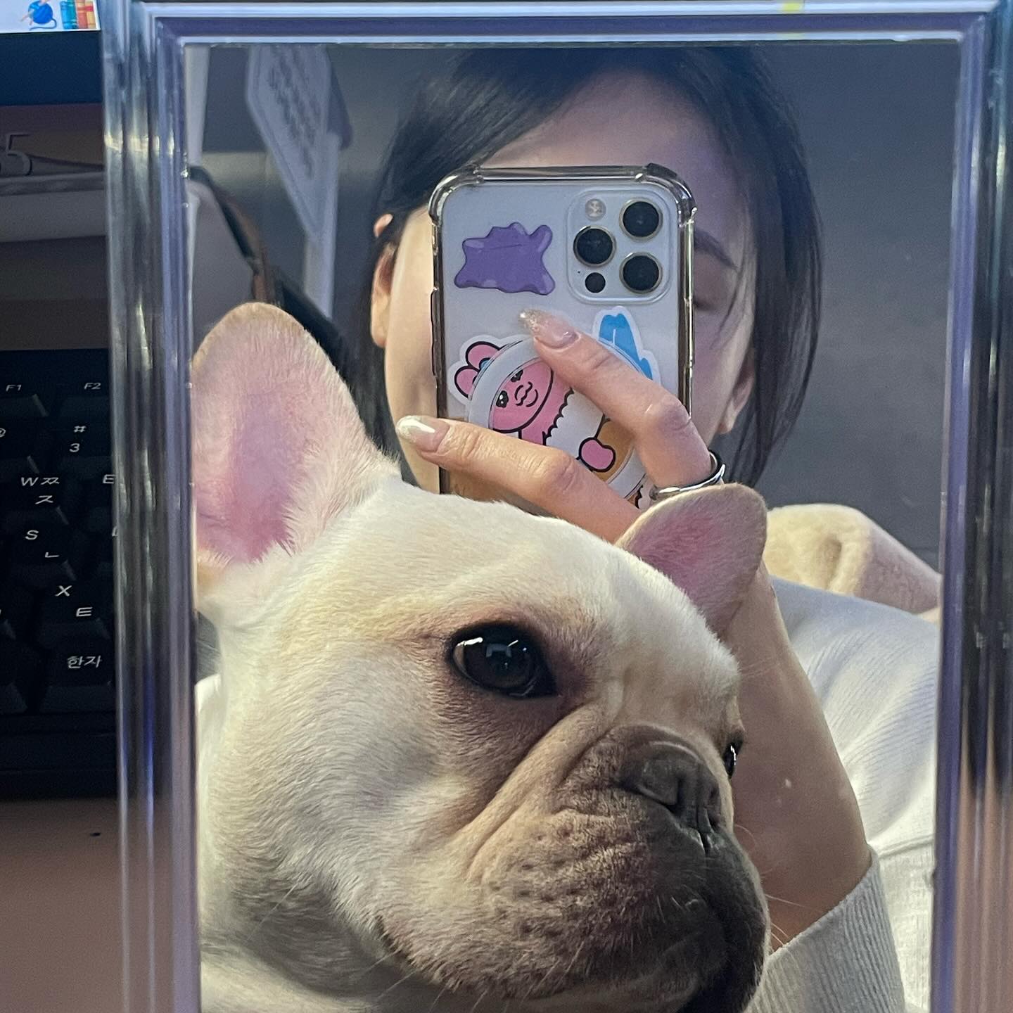 장군이 ❤️