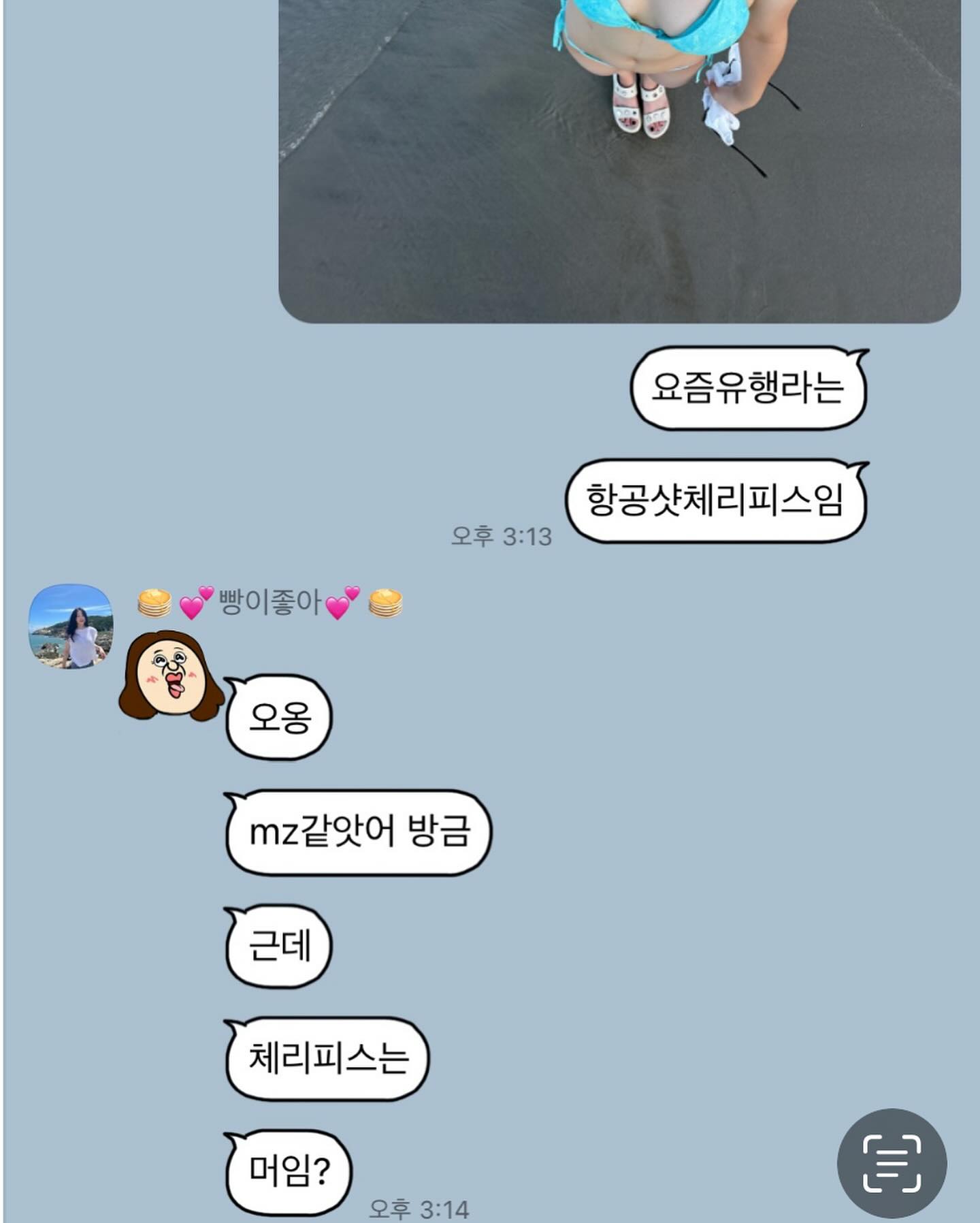 문제의 항공샷체리피스..압도적개큰수치심