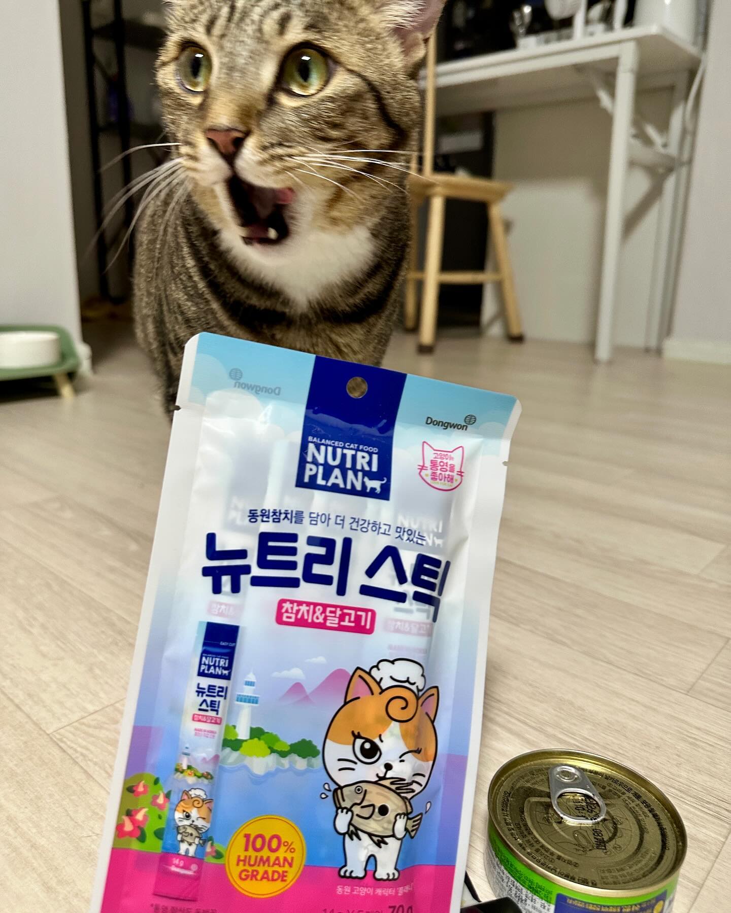 냥냥 쩝쩝 😻

맜잇는 츄르와 참치캔
잘먹었냥~~~~~

nutriplan_ 

#츄르 #참치캔 #깡이 #간식 #냥스타그램 #냥먹방 #고양이간식 #건강식단