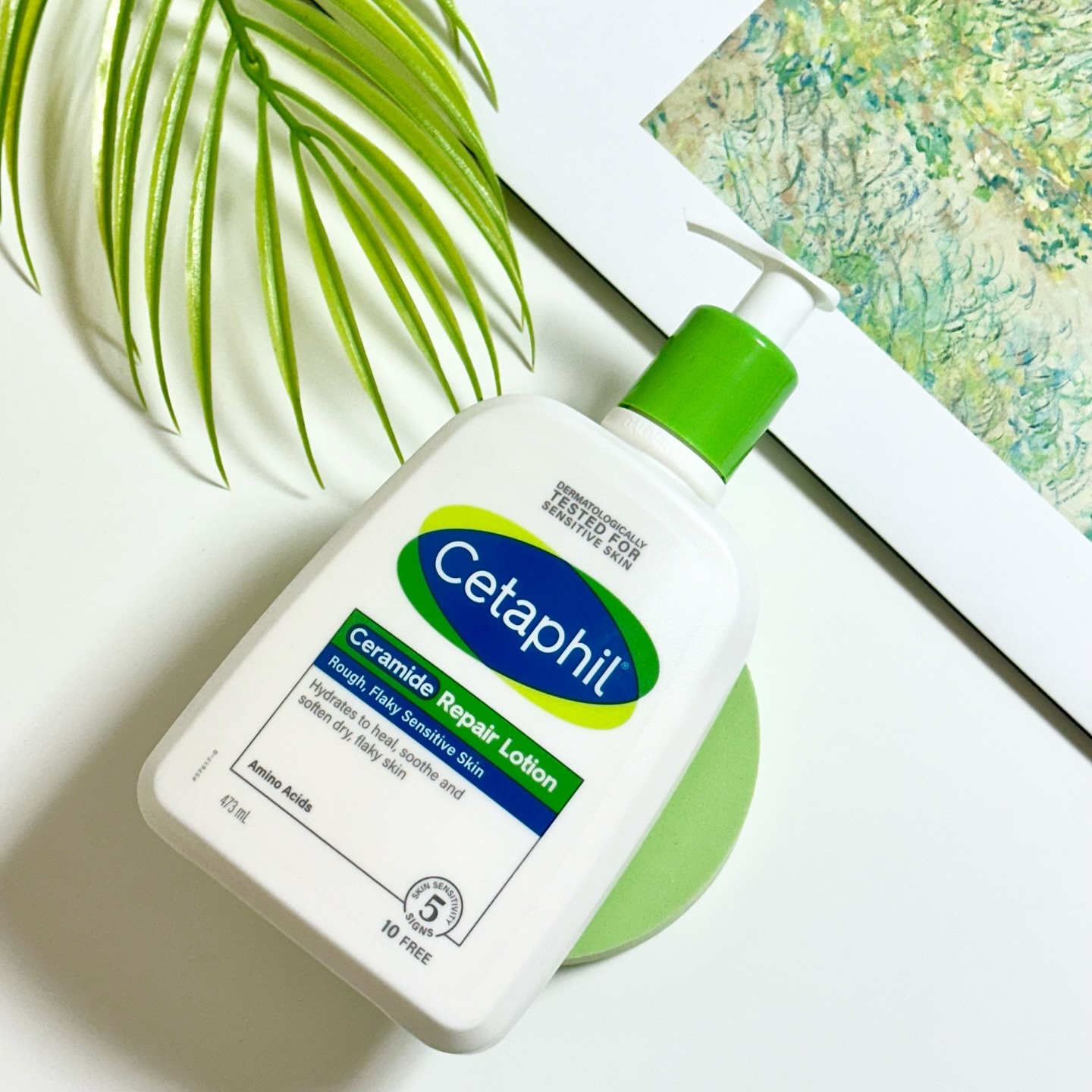 #광고 cetaphil.korea

가려움 극복로션 딱 정착 합니다♥🧚‍♂️

데일리 로션으로 사용하기 좋은 가려움 극복로션 세타필의 [세라마이드로션]을 만나 보았어요!

직접 사용해 보니 세라마이드 성분과 필라그린™이 피부 장벽 강화를 도와 가려움, 피부 자극, 각질을 한 번에 잠재워주는게 확 느껴지더라구요💚

짧은옷과 강한햇빛에 피부노출이 많은 지금 여름철 피부관리를 위해 데일리하게 쓰기 좋은 확신템🙈
피부에 스며드는 사용감 및 발림성도 좋아서 매일매일 쓸 예정이에오☺️🫶🏻

#15그램 #15그램뷰티 #15#세타필 #Cetaphil #세라마이드로션 #필라그린 #가려움완화 #피부장벽
#바디로션추천#여름바디로션#여름로션#기초추천#뷰티계정#뷰티계정맞팔#뷰티#코덕#로션추천#화장품#화장품추천#기초추천템#일상#코덕스타그램#beauty#makeup#kbeauty#koreabeauty