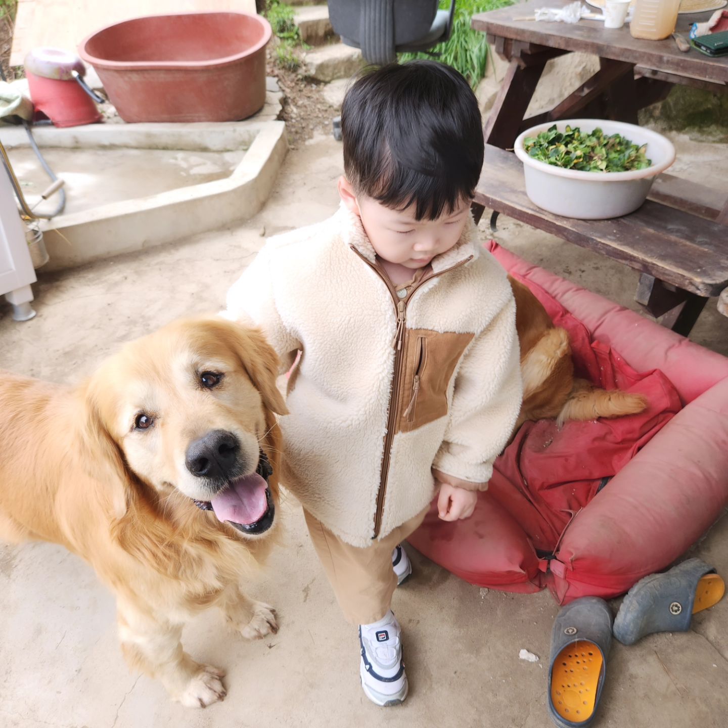 때빼고 광내고 싶었는데 내몸이하나요`~`

담에 날잡고 물에 담궈줄게!!
장난감도 많이 사야겠다 ㅋㅋㅋ

#파괴왕
#스트레스해소 
#시켜주겠어
#작은농부
#큰개
#화목한가정