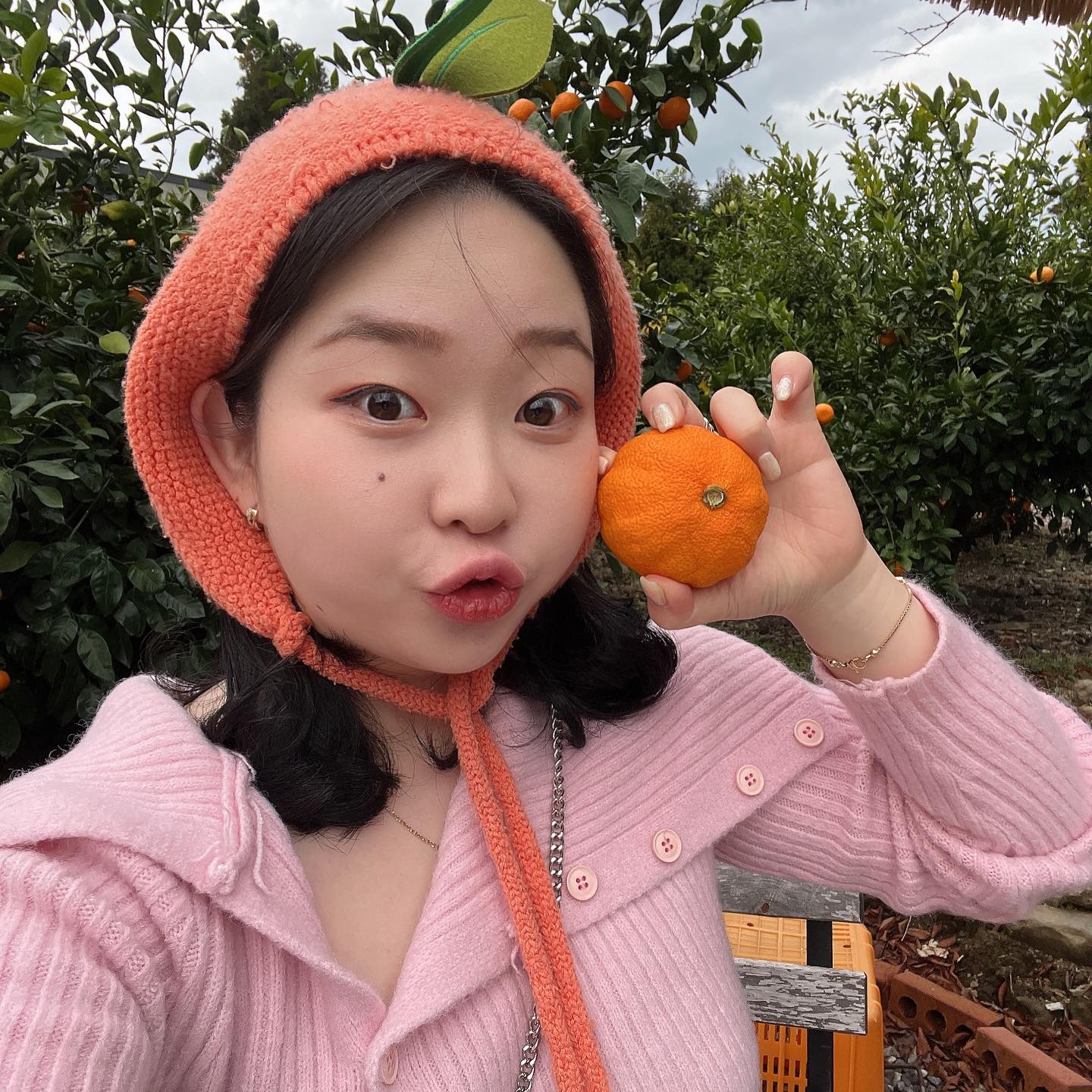 제주 ~~ 🍊🍊
더보기..