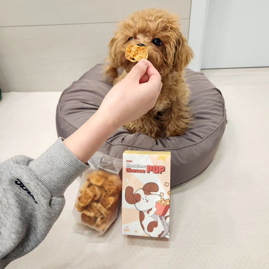 #펫분 #펫분엠버서더 #협찬

내 최애간식 몽블랑 치즈팝이야
고소하고 진한 치즈향에 바삭바삭 소리까지 완벽 !

치즈팝은 저칼로리 간식이라 나처럼 
작은 친구들도 간식 더먹을수 있다구 !
 
요즘 울엄마가 간식을 몽블랑 치즈바랑 치즈팝만
주는데 눈물이 많이 줄었다고 너무 좋아해

제티랑 치즈팝 ASMR 찍을 칭구들 요기요기 붙어라 🤍 

#몽블랑치즈팝 #저알러지간식 #천연영양간식
#락토스프리 #야크치즈 #강아지간식
🏷pet_boon