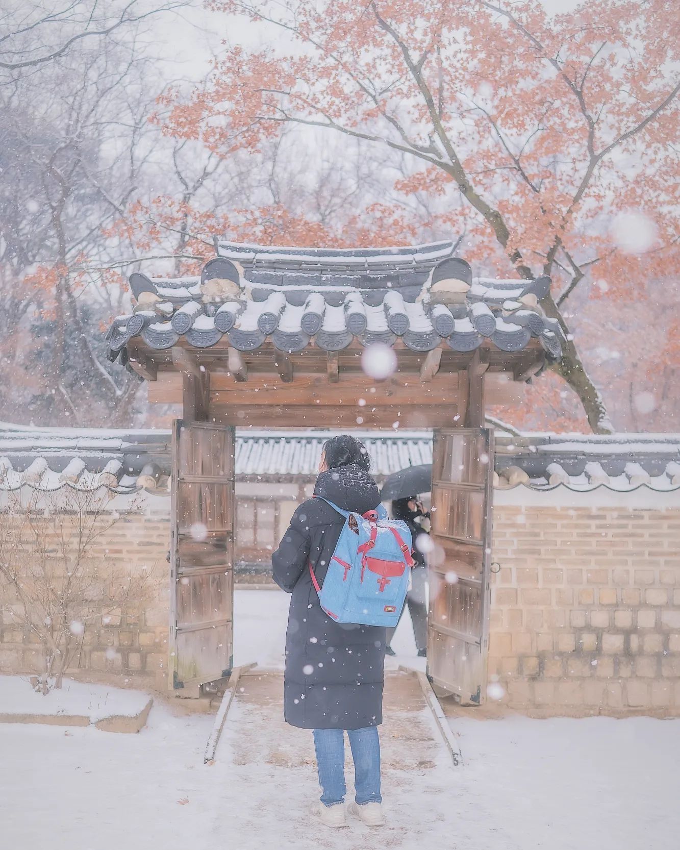 24. 01. 09. 눈오는 날

#일상 #사진 #풍경 #감성 #느낌 #창덕궁후원 #눈오는날❄️ #캐논카메라📷 #canon #고궁산책 #눈풍경⛄ #눈오는날의풍경 #창덕궁의겨울경치 #snowday #healing #travel #daily #aday #photography #사진찍는여자🙎‍♀️ #대한민국구석구석 #seoullife #사진계정환영 #뷰파인더로본세상📸 #겨울은겨울답게❄️ #나그램👍

Model : soyun_photographer
photo : jjayj5