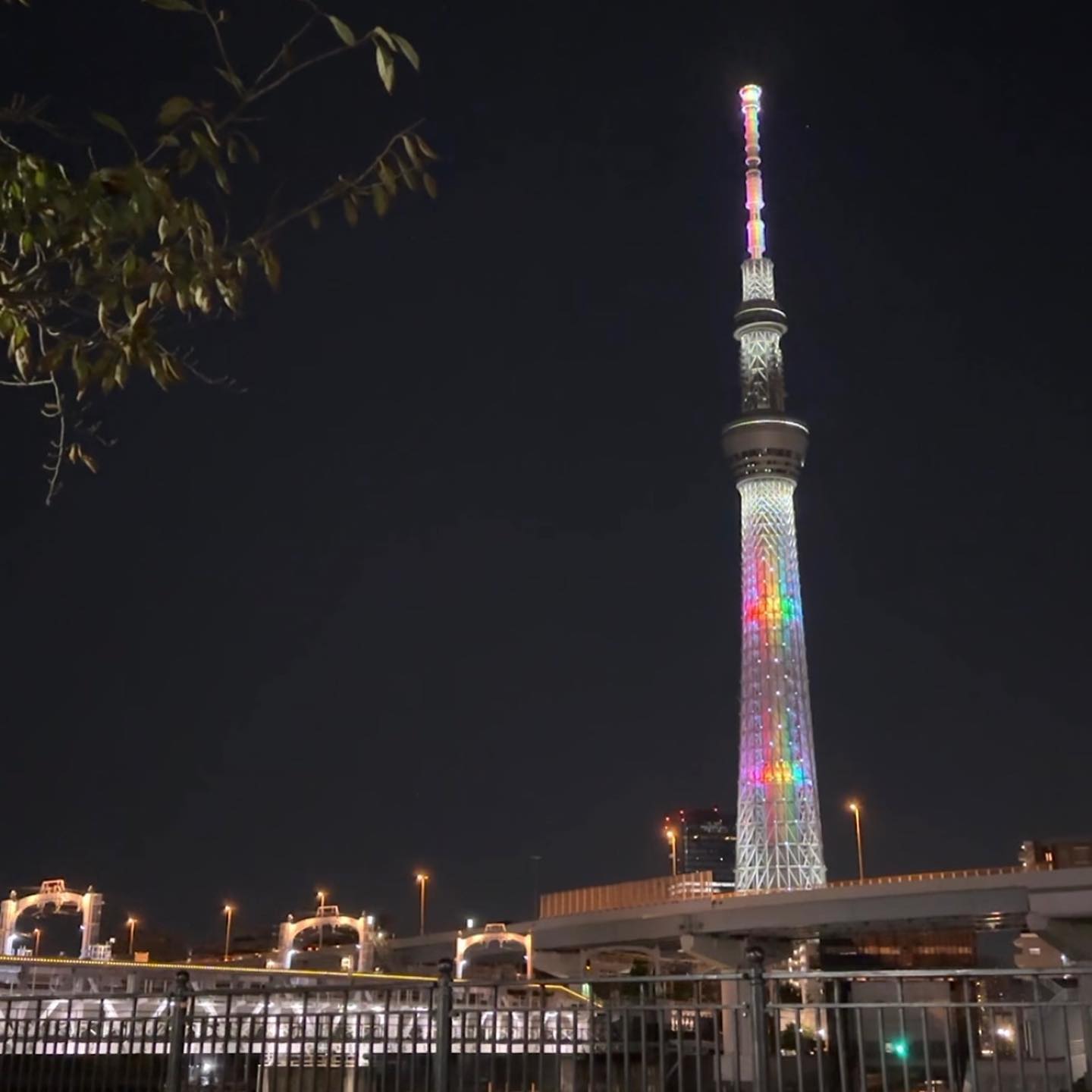 생애 첫 해외 여행지가 도쿄🇯🇵
야경이 예쁘다기에 너무 가보고싶었고, 실제로 보는 야경은 더 예뻐 고대로 반해버렸었는데
이번 년에 이렇게 많이 가게 될 거라곤 생각도 못했어요 (이번년만 곧 네번째..)🗼✨ 

도쿄여행을 간다면 아사쿠사는 꼭!
거리도 예쁘고, 맛있는 간식도 많고, 
술문화도 충분히 적실(?) 수 있고
스카이트리가 보이는 스미다가와가 있어서 산책, 러닝에도 좋고 ✨

🏮TIP. 
📍아사쿠사 문화관광센터! 가시면
센소지와 스카이트리가 보이는 
전망대(8F)가 있으니 꼭 들러보세요! ✨무료니까!

2 Chome-18-9 Kaminarimon, Taito City, Tokyo 111-0034 일본