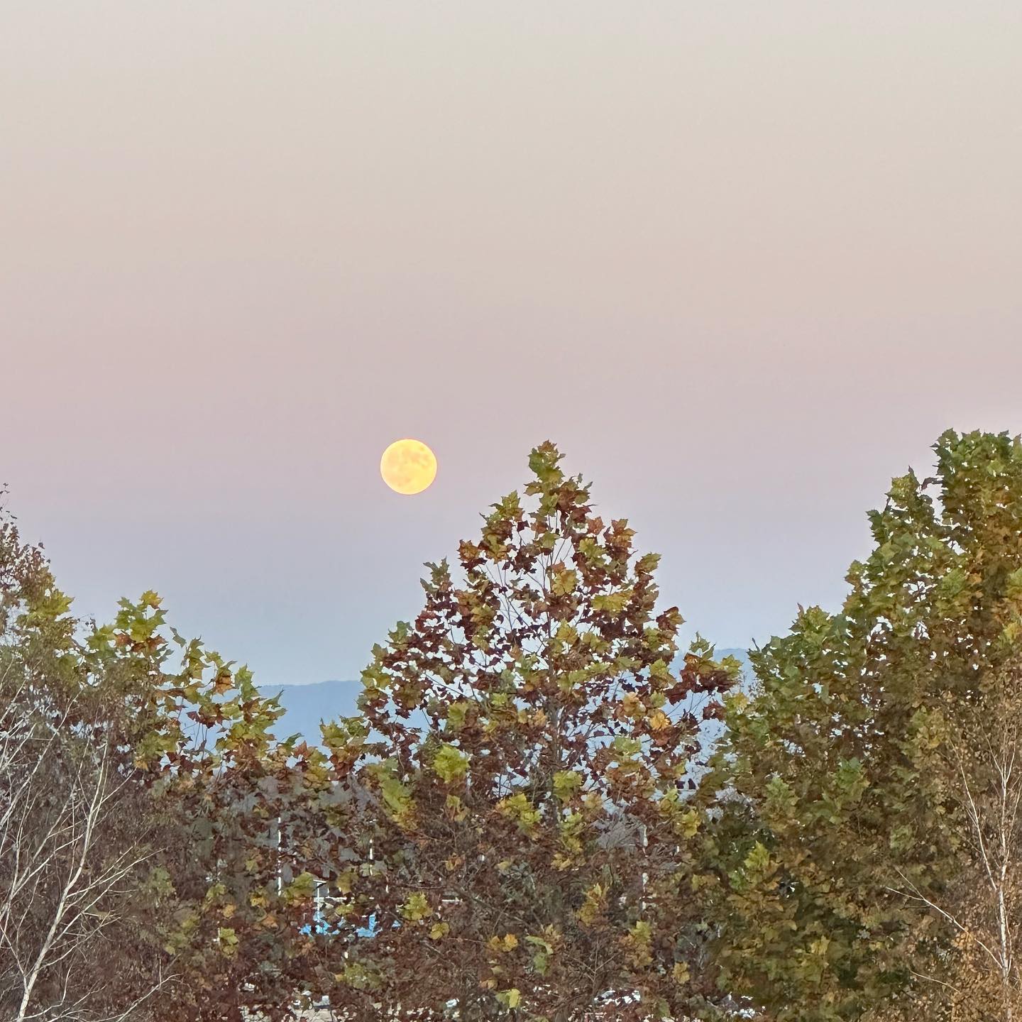 🌕