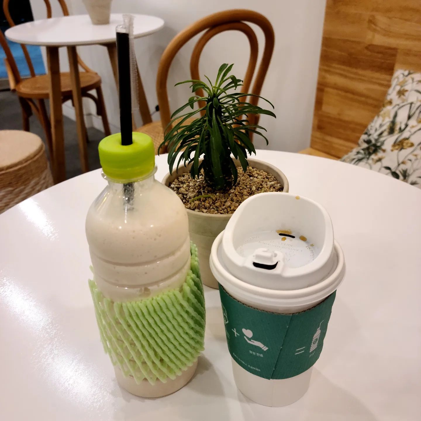 코코넛쉐이크 짱맛

#코코넛#코코넛쉐이크#코코부코
