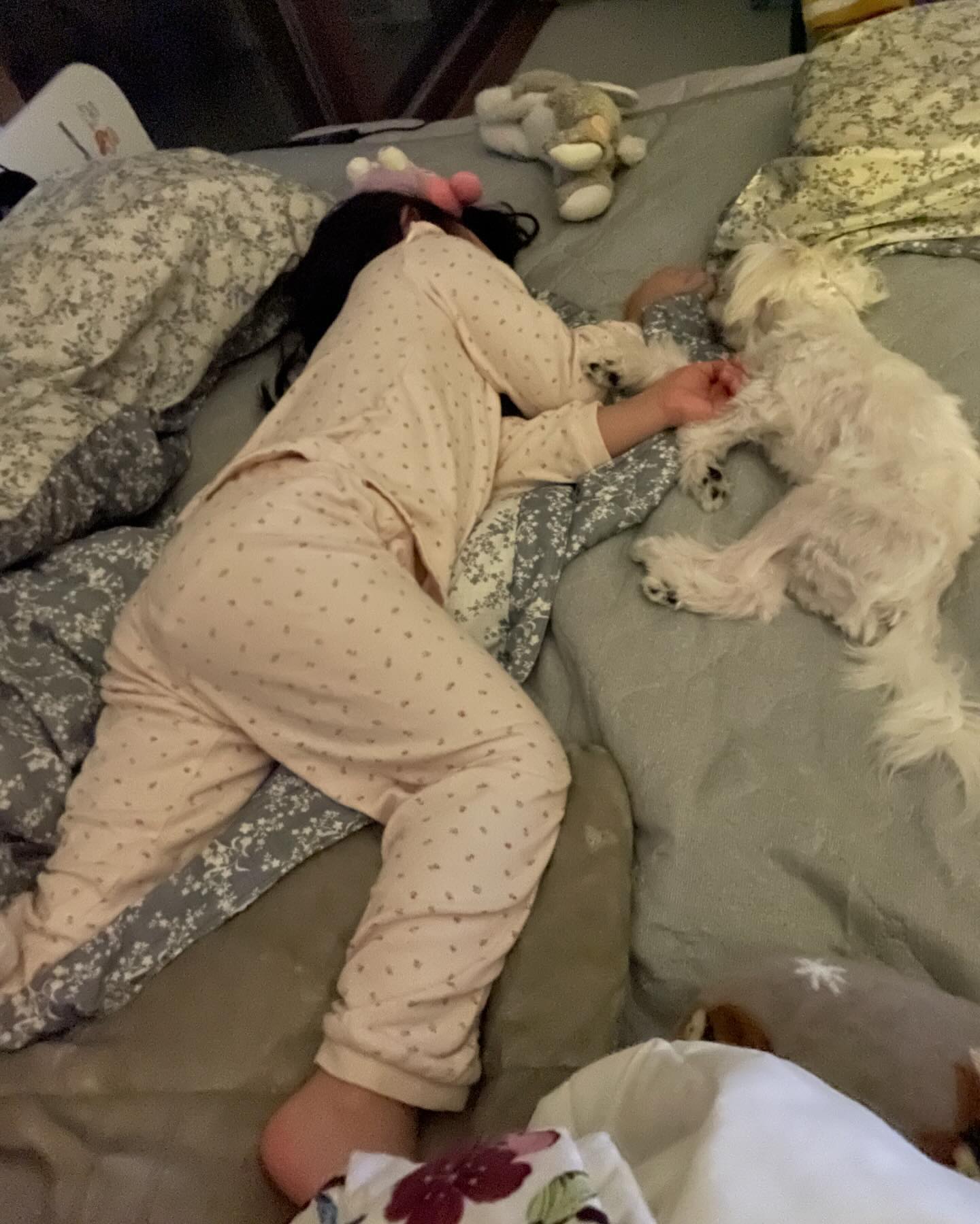 누나 옆에 있고 지키는 멍멍이 2호 토토와 지안이 #말티즈 #아기와강아지