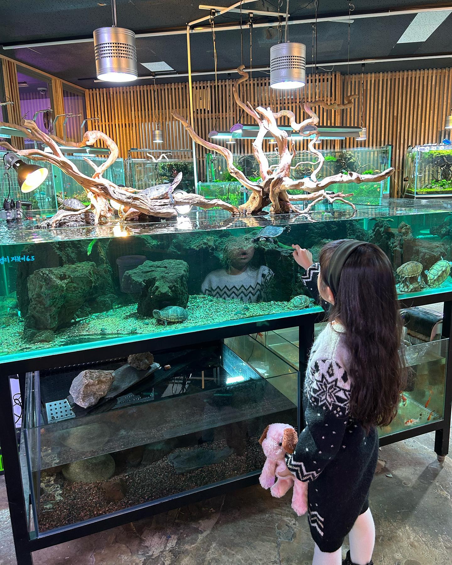 _

최애 수족관🐟
그리고 장난감 코너에 가서도
사고싶던 마카핑 안아보고 
쿨하게 내려두고 오기
참 많이컸다❤️