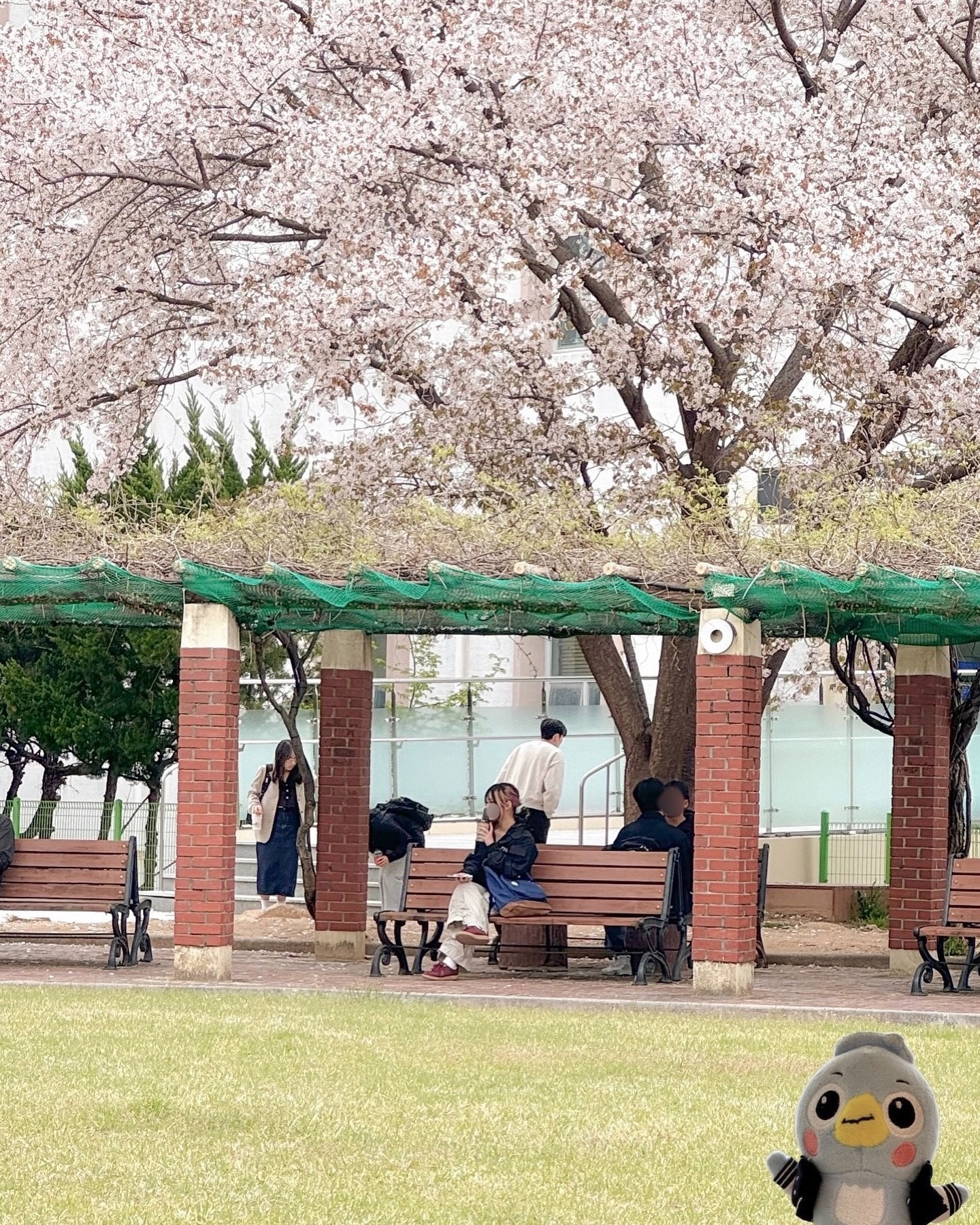산디닝, 🩵3🩵
#부산대몰 #PNUMALL #부산대입학키트 #2024입학키트
#부산대학교 #입학키트언박싱 #산지니 #웰컴산지니