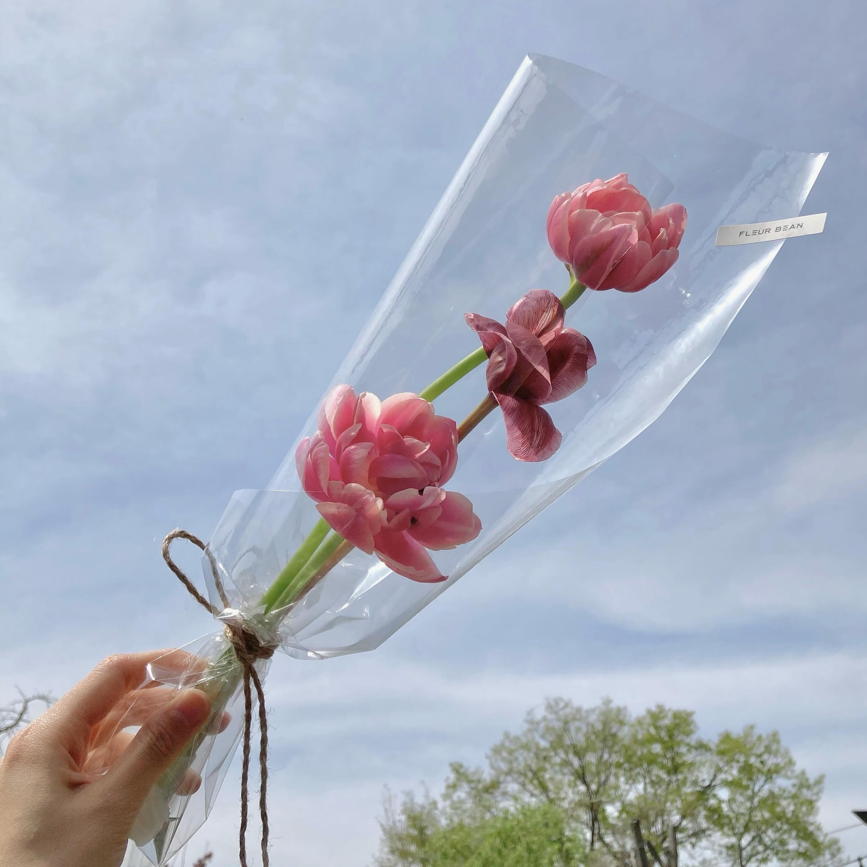 🌷
 
아무래도 2024년은
봄이 잠깐 노크만 하고 갔나보다,