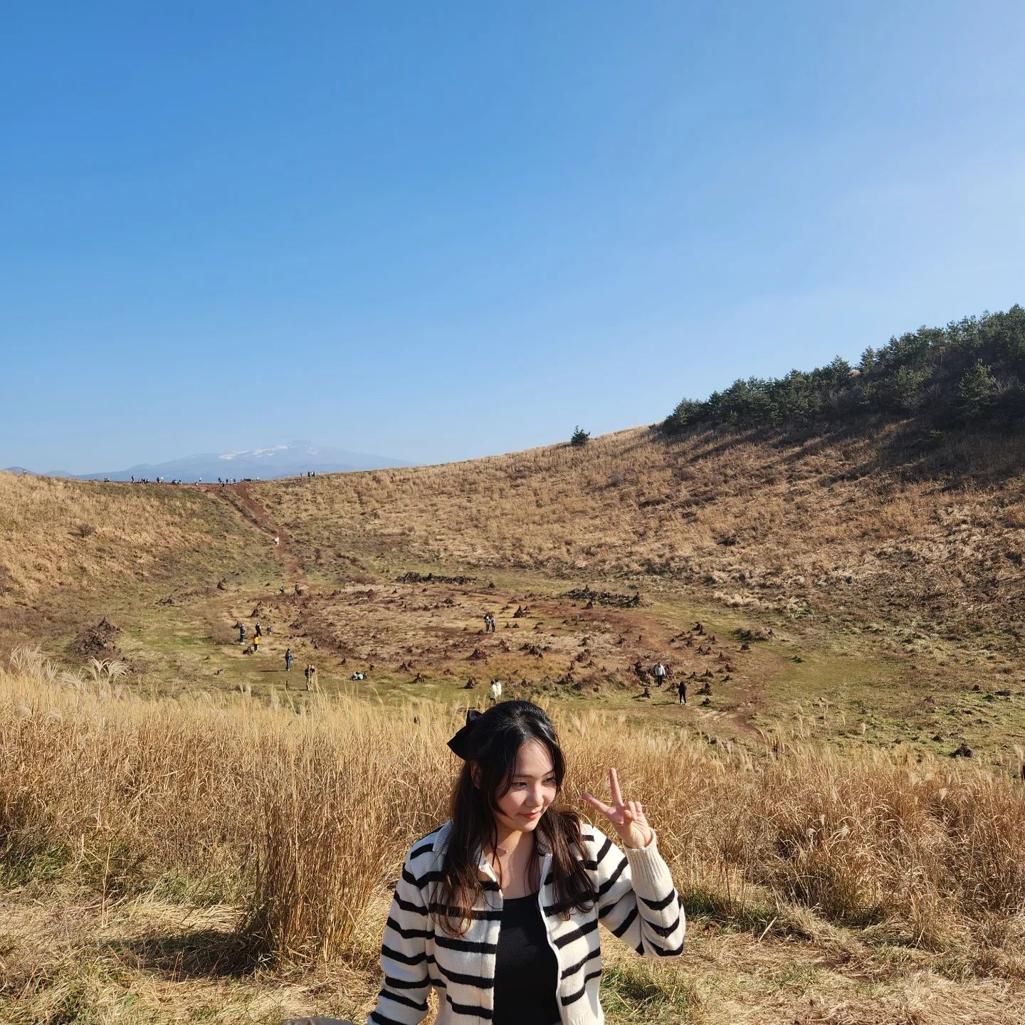 #제주도 #금악오름 #jeju #⛰️