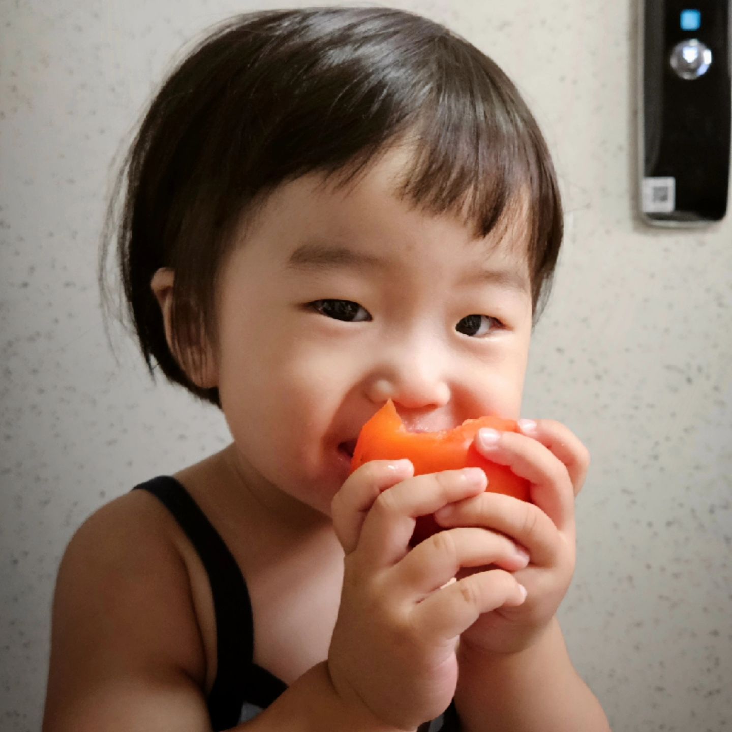 토마토 전쟁 1초전

#육아 #아기 #17개월아기