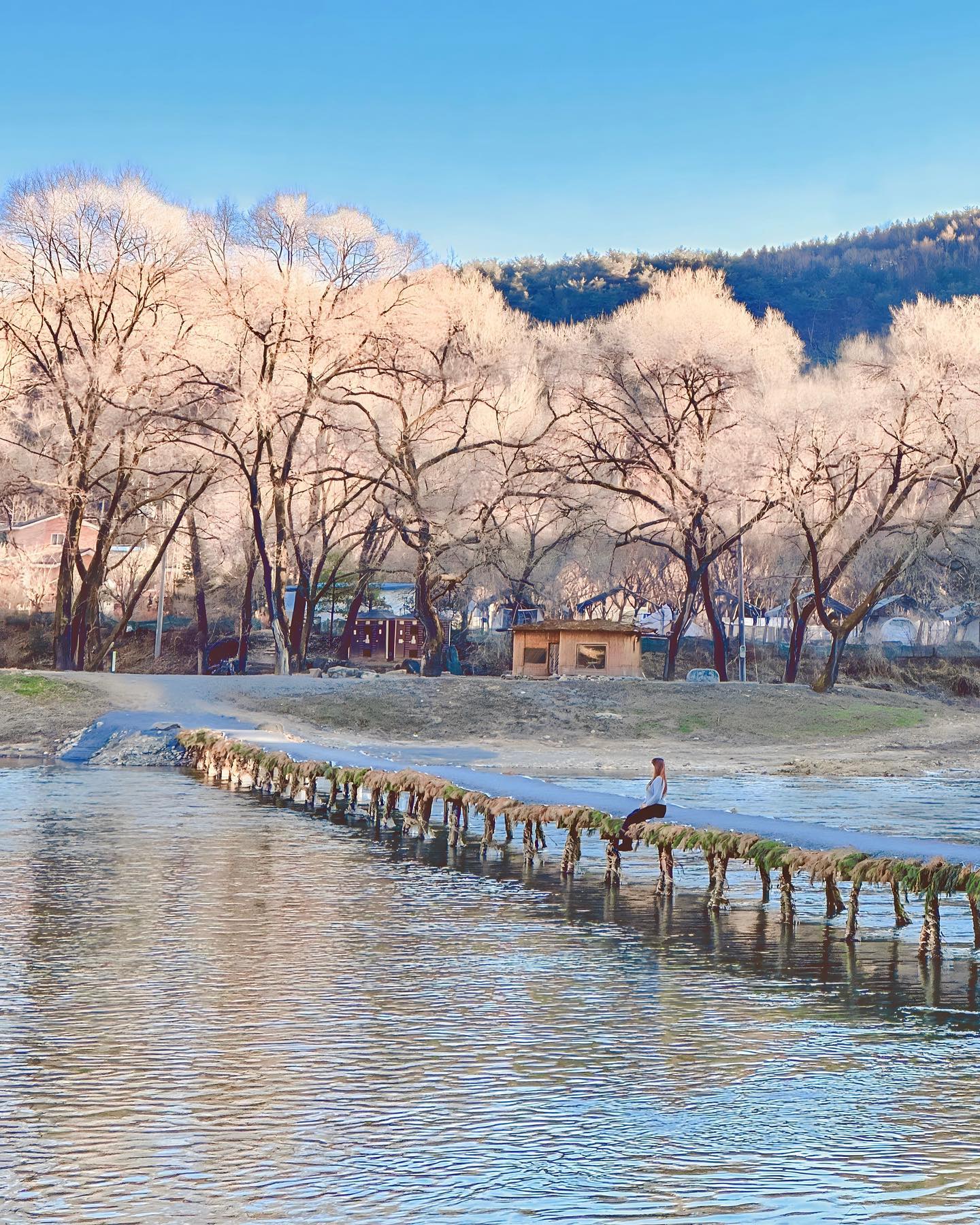 겨울에 더욱 가기 좋은 영월 추천 여행지☃️
Winter Travel Guide for Yeongwol☃️

강원도 영월하면 동강 래프팅으로 유명하죠☺️
추운 겨울에 가면 더 좋은 영월의 추천 여행지를 준비해봤어요❄️

🌿 주천 판운섶다리 (드라마 촬영지)
🍷 에밀와인힐링센터 (와인족욕&시음)
🎄 크리스마스 미니정원 (청령포 IC 영월저류지)

인공재료 없이 나무와 잎을 엮어서 만든 섶다리는
농번기가 끝나는 10월 경에 보통 만들어지는데요🍂
눈 오는 풍경이 정말 매력적인 판운섶다리도
가을부터 겨울까지 만나보실 수 있어요🌨️
(드라마 ‘스타트업’ 촬영지로도 유명해요🎞️)

에밀와인힐링센터는 정말 추운 날씨에 딱인
와인 족욕을 할 수 있는 곳인데요🍷
19브릭스 당도의 국산 캠벨포도 품종으로 만든 와인을
구매할 수도 있고 개인별 족욕으로 깔끔하면서도
여유있는 시간을 보내기 좋았어요🍇

크리스마스 미니정원이 자리한 느티정원은
청령포IC 영월저류지 근처의 트리 스팟으로
주변 광해가 적고 나룻배와 다양한 트리가 함께 있어서
크리스마스 분위기가 더욱 가득해요🎄

겨울에도 더욱 좋은 강원도 영월 여행☃️
특색있는 겨울 추천 여행지와 함께해보세요☺️

📍Yeongwol, Gangwon, Korea 🇰🇷
▪️강원 영월군 주천면 판운리 섶다리
▪️강원 영월군 김삿갓면 예밀촌길 229-3 예밀와인힐링센터
▪️강원 영월군 영월읍 방절리 청령포IC교 인근 느티정원

#제작지원 #섶다리 #영월여행 #영월여행지 #영월가볼만한곳 #바이트레인 #겨울여행 #gangwondo 

Copyright (C) ⓒ by travelwithsera .
All pictures cannot be copied without permission.