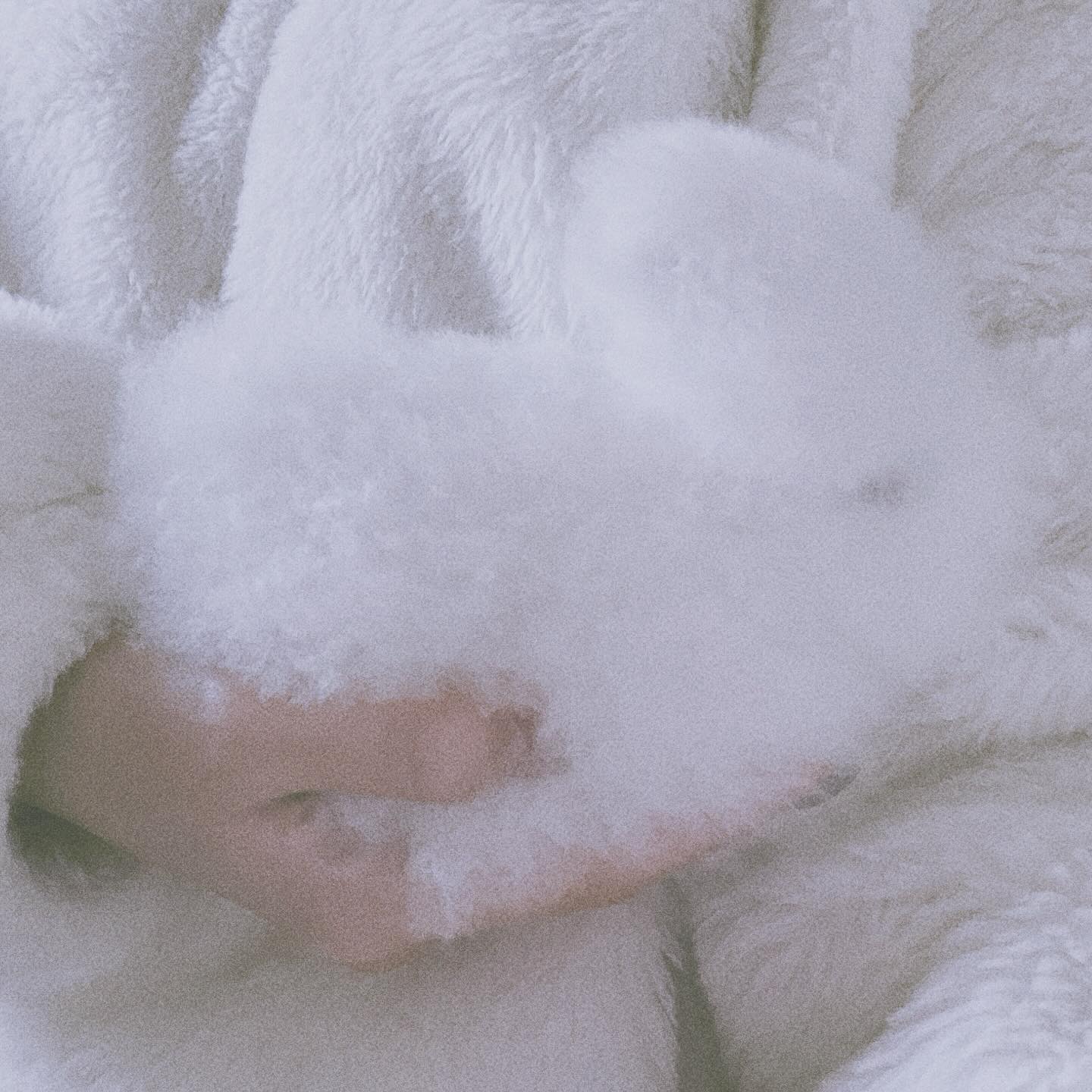 분위기 깡패에 예쁘고 맛있고 다 하는 완벽 맛집 발견💗 연말 약속 여기로 잡으면 칭찬받을듯 또 갈거야아아아𖠌𖠌𖠌𖠌𖠌𖠌𖠌𖠌𖠌𖠌𖠌𖠌𖠌 #ㅇㅇㅇㅇ #이응이응이응이응 #oooo #상수맛집 #상수 #합정맛집… | Instagram