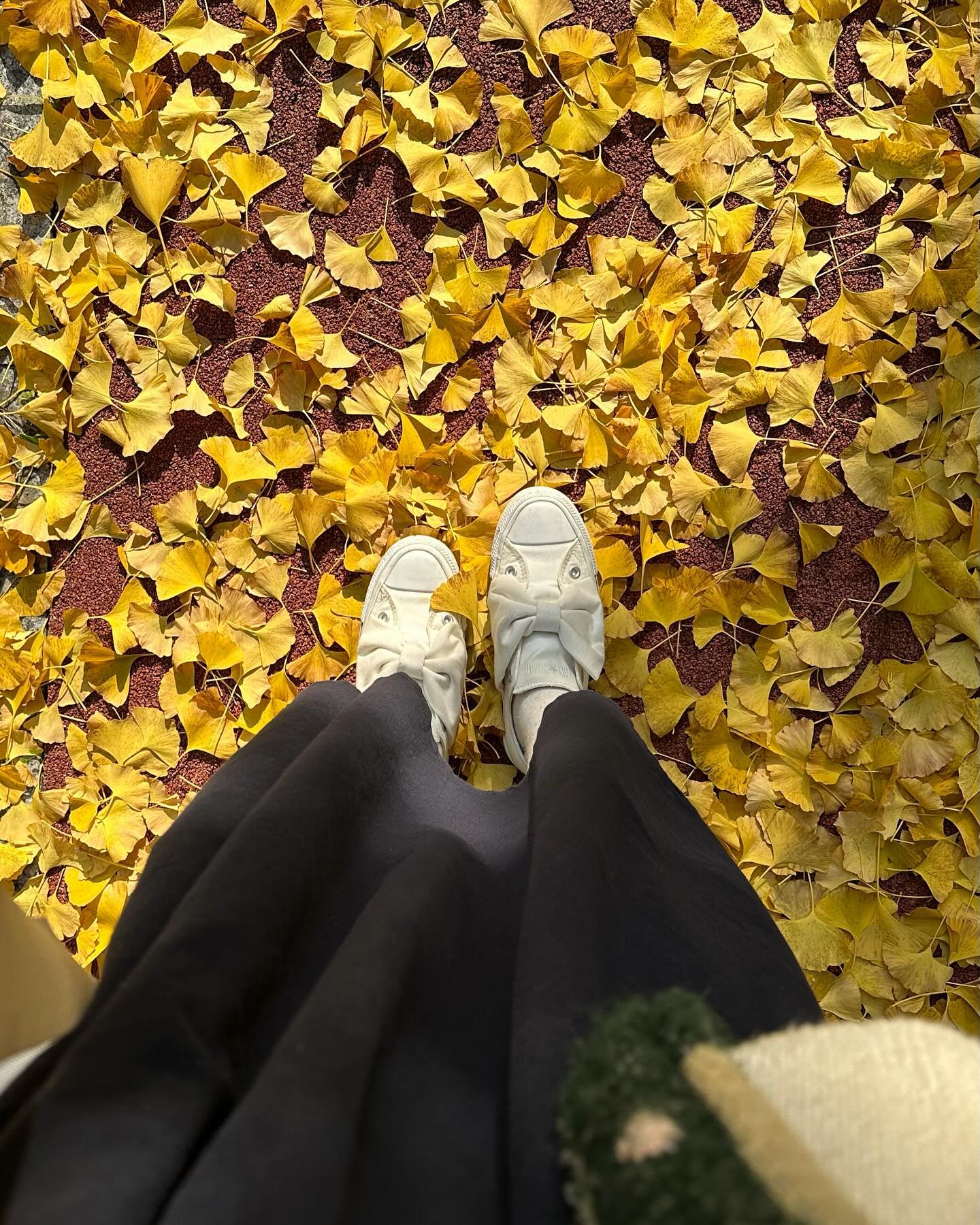12월이 되서야 남겨보는 1️⃣1️⃣ 월의 조각들 #november