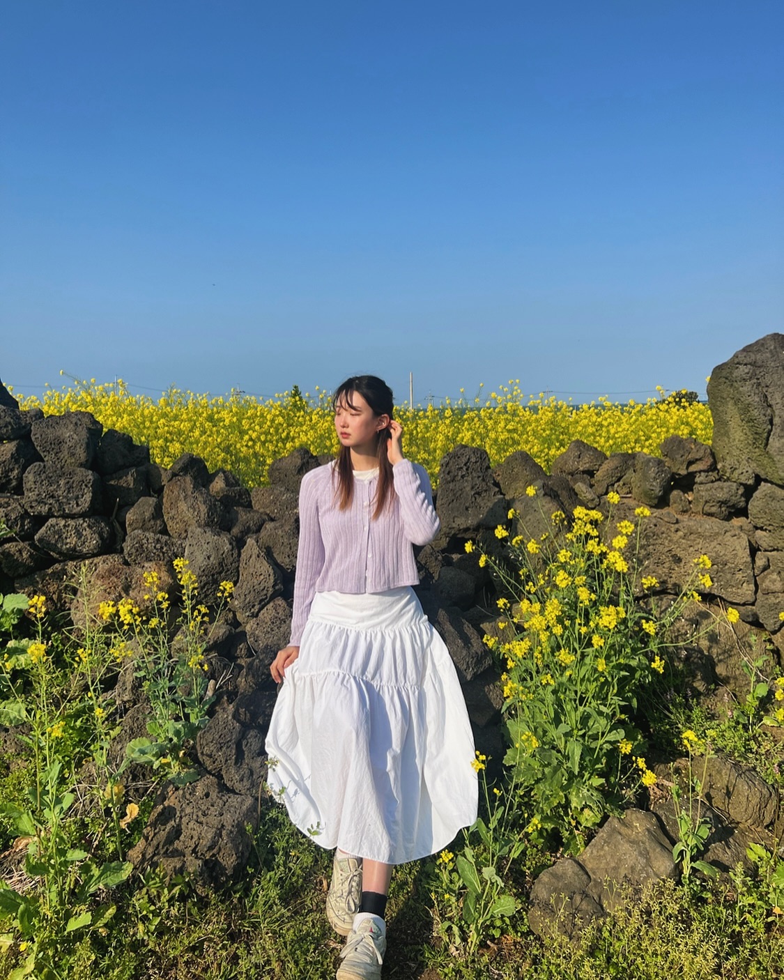 제주도에서 고생하면서 본 유채..🌼