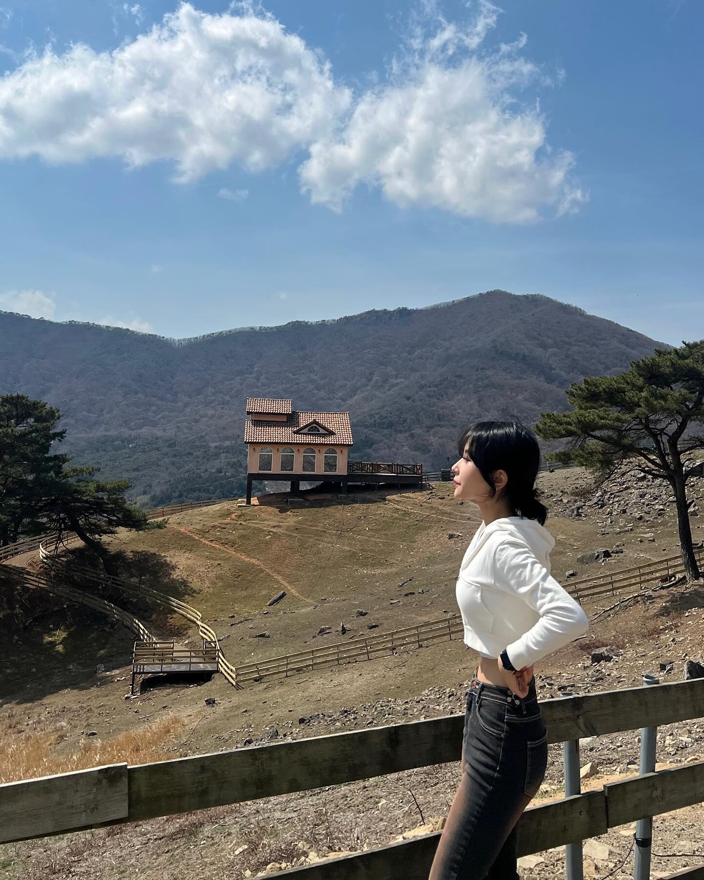 배시려