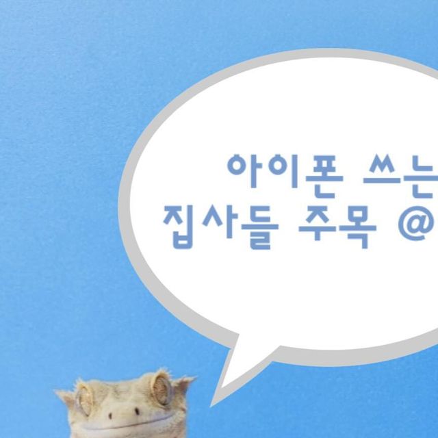 zupzup animal on Instagram: "안녕하세요 집사분들 ! 아이폰 13 14 15 시리즈 폰케이스 추천 ! 어반스티치 네버다이에어 케이스 (사진은 15pro) 거울샷도 예쁘게 나오며 깔끔한 디자인이라서 집사님들