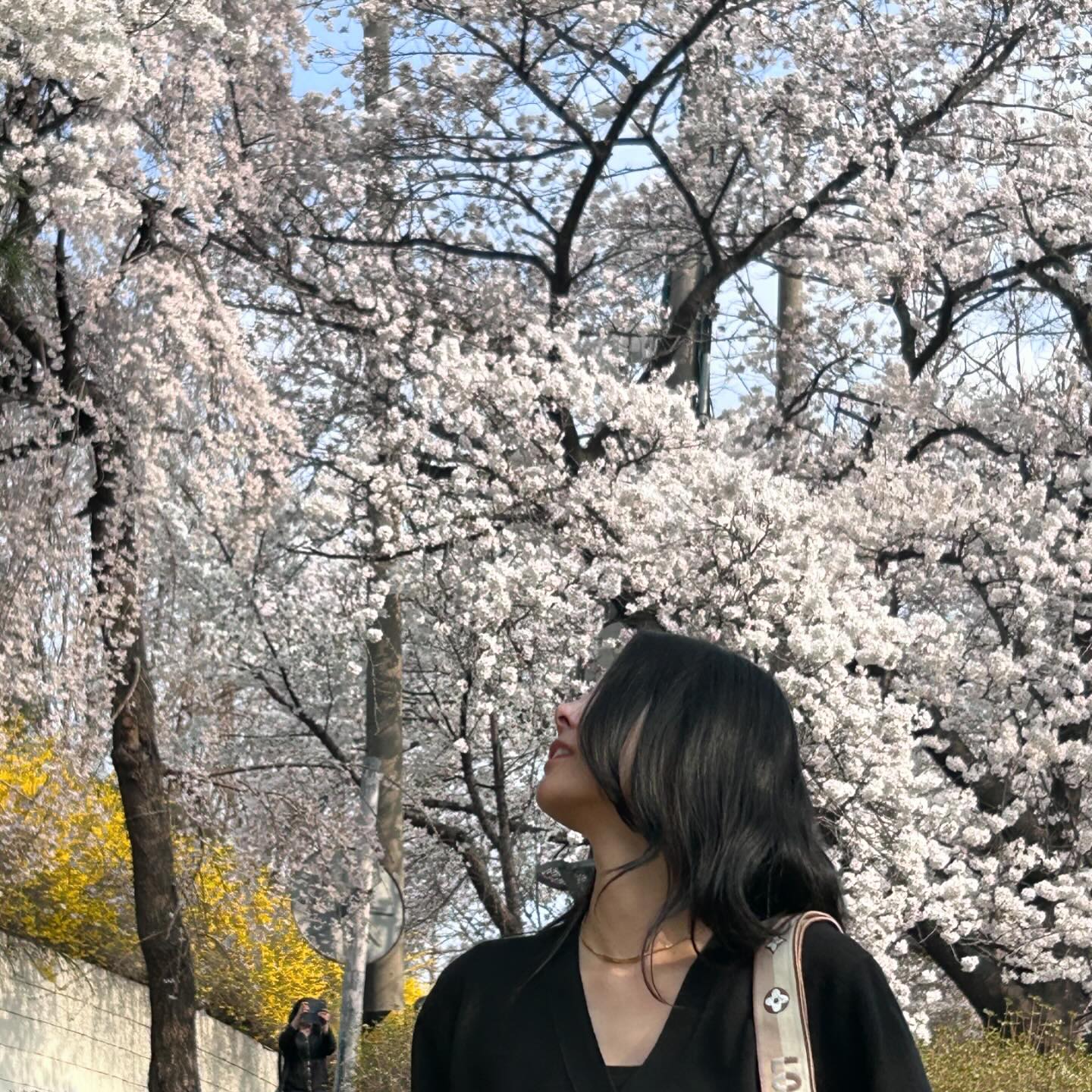 수원 경기도청 벚꽃축제

내일부터 축제 한다고해서 전날 호다닥 다녀왓어요🎀
4월5일~4월7일까지니 벚꽃 구경하고 오세용

#수원경기도청벚꽃축제#수원벚꽃#벚꽃축제
