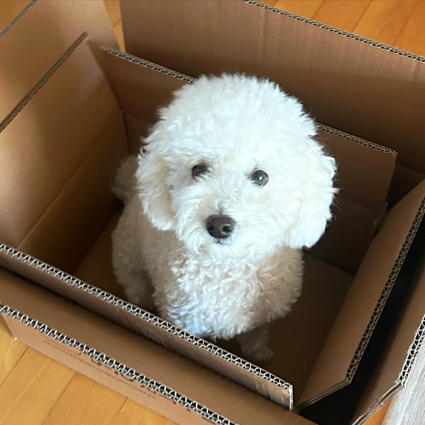 아늑해용
#짱구 #여짱구