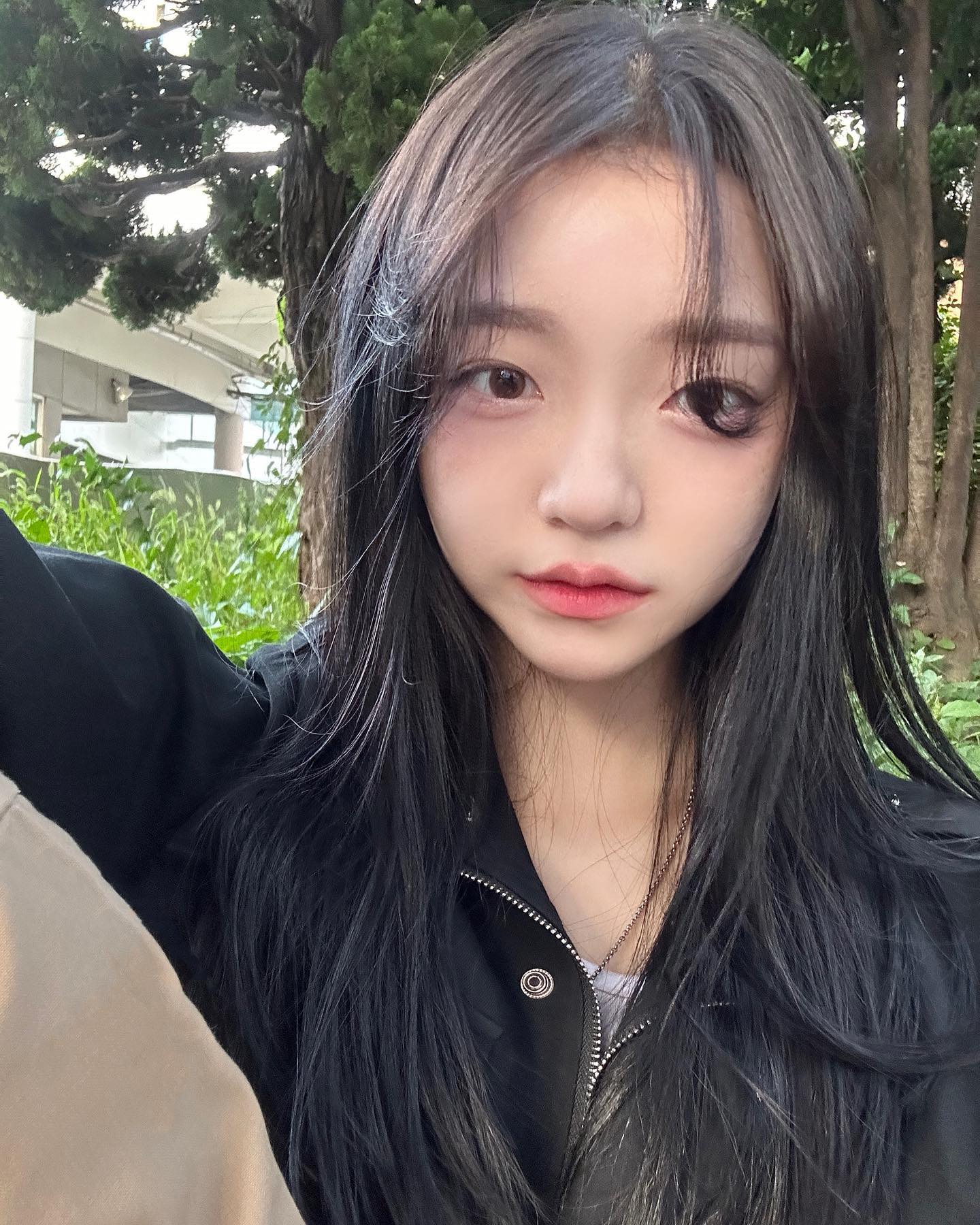 콘텐츠