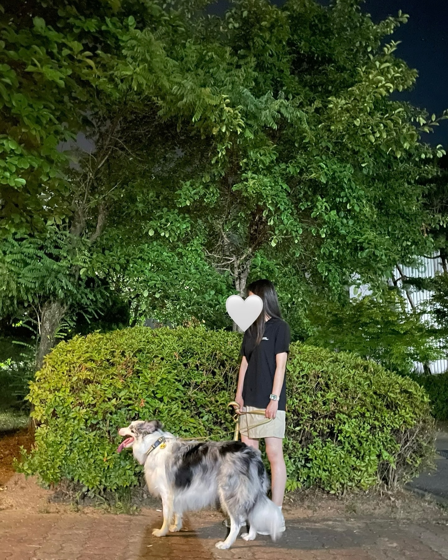 오월이 많이 컸죠?! ヾ(o˃̵͈̑‿˂̵͈̑o)ｼ 🤍✨