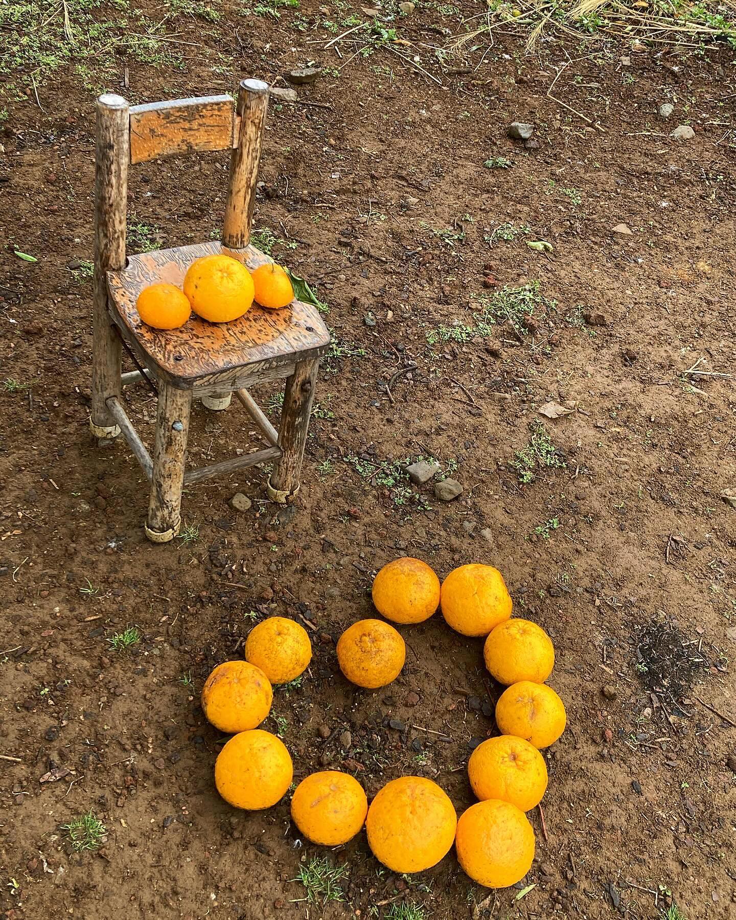 ℍ𝔸ℙℙ𝕐 𝕁𝔼𝕁𝕌 😚🍊