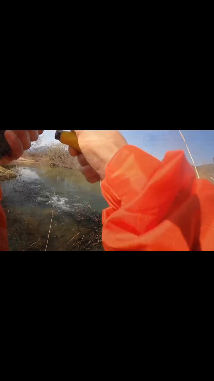 -

#빅베이트 

수면폭파💥 

ROD: #goblinbat 710xh+ 
REEL: 18ANTARES DC XG
LINE: pe60lb + 카본36lb
LURE: #klash9 (mode-B)