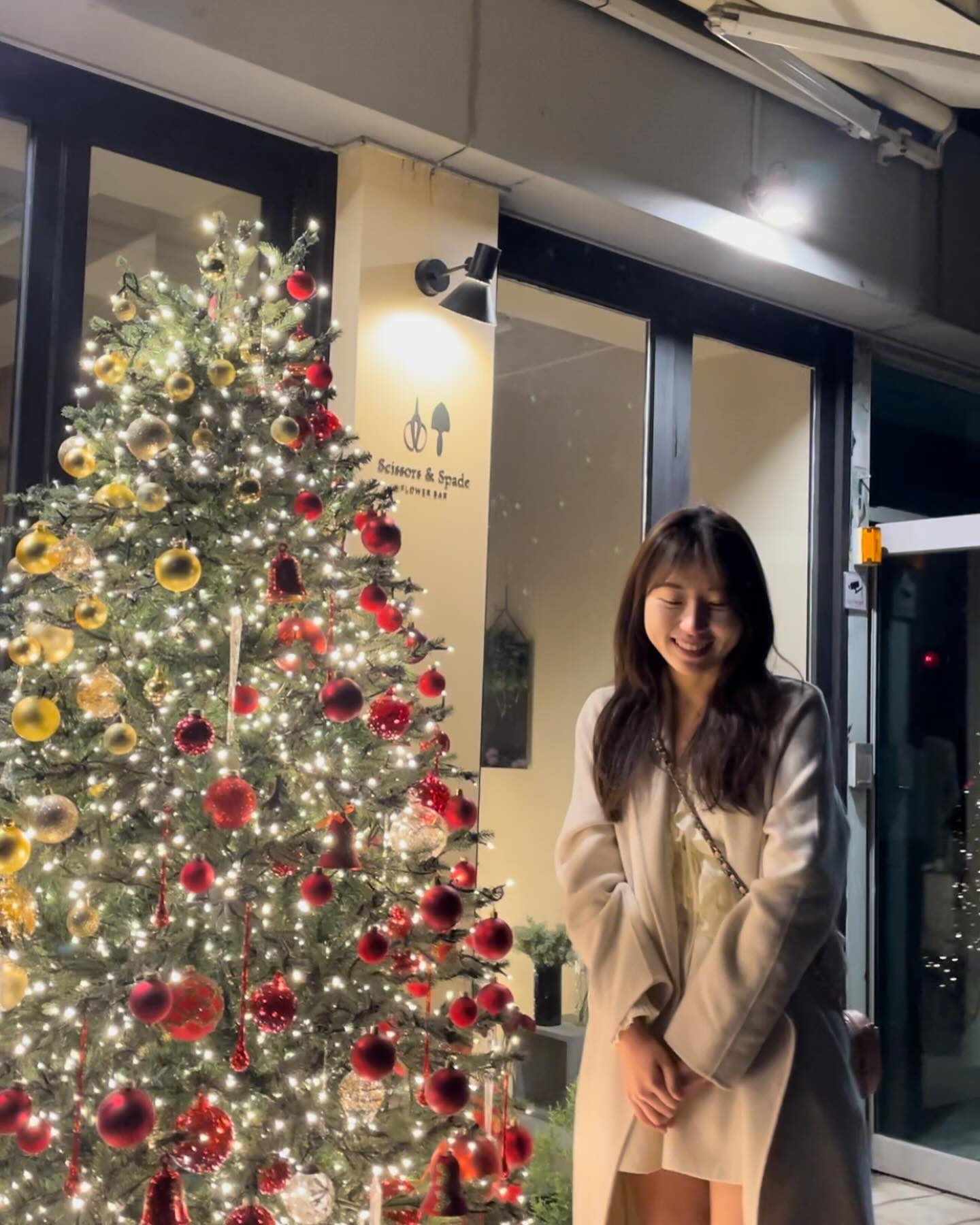 길가다 우연히 만난 트리 🎄 좁은 골목길에 있는 트리가 너무 빛나서 한 컷📸✨