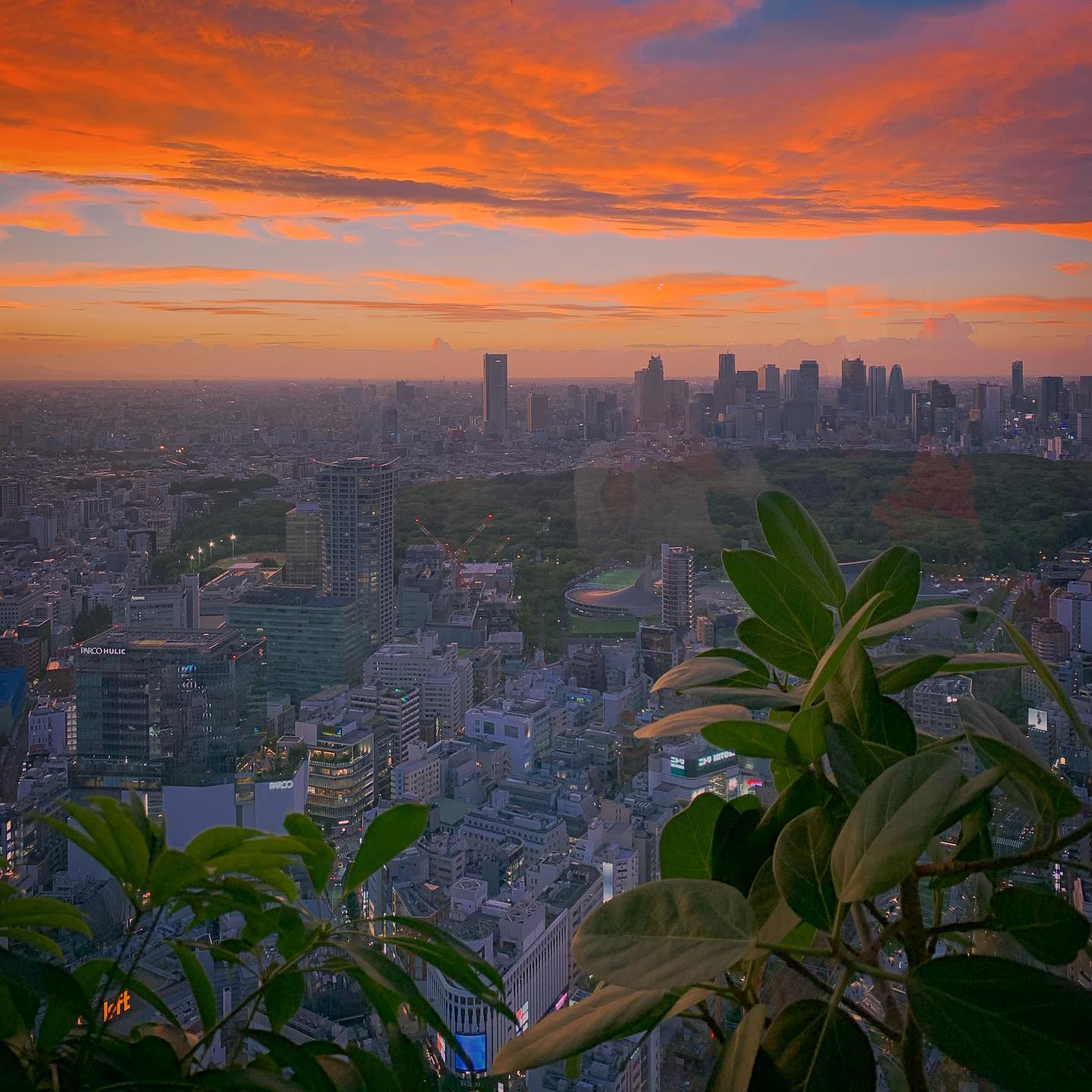Before sunset