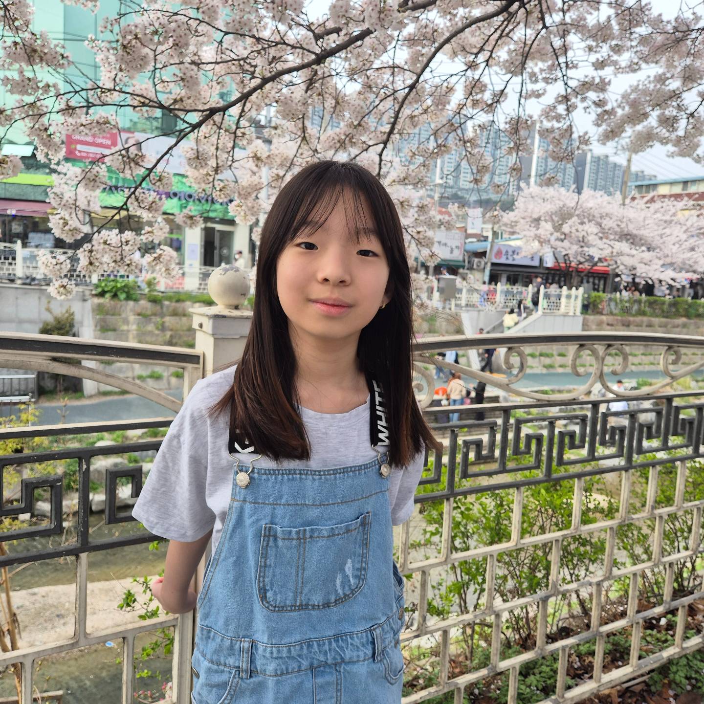 멀리가지 않아두
성북천에 벚꽃이 활짝

넘나 예쁨🌸

#하유니일상 #하윤그램 
#성북천 #벚꽃길 #벚꽃예쁘다 
#동네벚꽂길