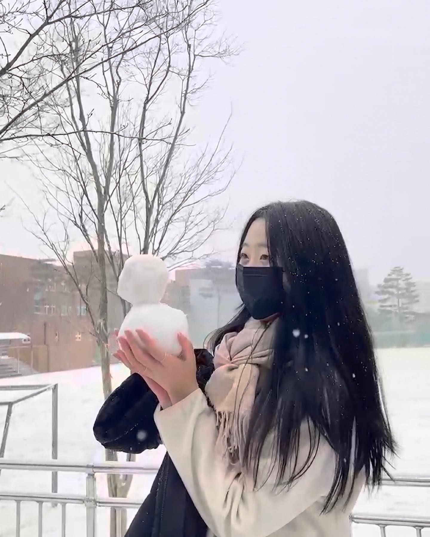 대구도 눈 왔다 ☃️