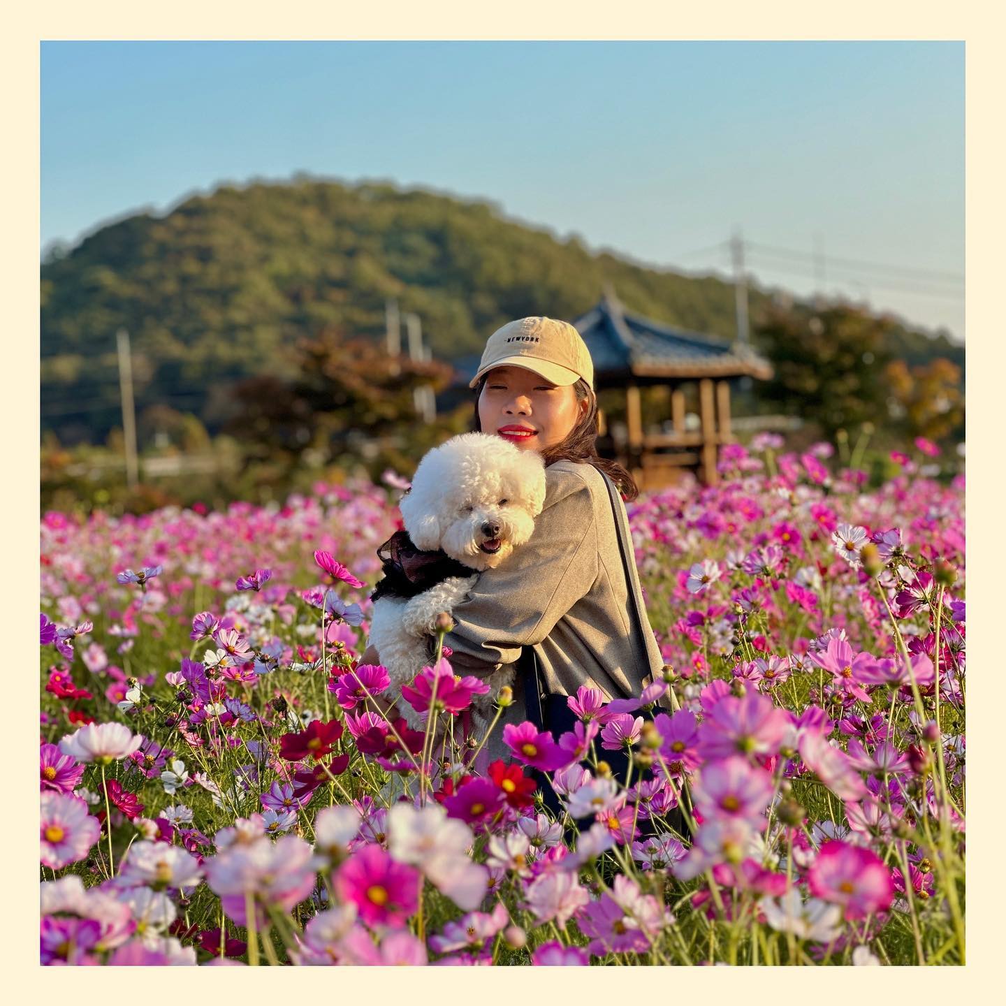 #🌺#🌼#🌸

끝날때까지 끝나지 않는 
엄니와 함께 하는 꽃놀이
근데 은근 꽃놀이.. 재밌네요?..ㅎ
나이 묵었나봐여 ㅎㅎㅎㅎ(팩트)

별이가 코스모스에 둘러쌓인 이곳은!

📍파주 율곡습지공원
꽃종류는 넓은 코스모스 들판이 펼쳐진곳
살짝 해질때 분위기 멋있었지만
해지면 넘 어두워 위험하니까!
해지기전에 나오도록 하세용👐🏻

+) 메인사진은 원래 B컷인데
동시에 눈감은 별이와 누나 넘 행복모먼트

#파주#코스모스#꽃놀이#강아지#멍스타그램#파주갈만한곳#강아지와갈만한곳#율곡습지공원
