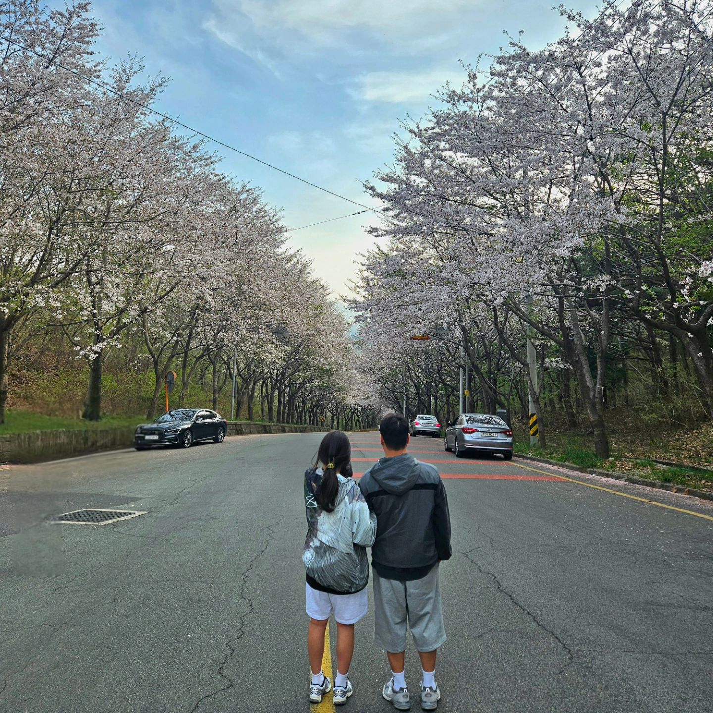 오빠야랑 벚꽃보러🌸
.
.
.
#동덩그리랑
#벚꽃 #벚꽃명소 #부산벚꽃 #벚꽃만개 #벚꽃터널 #생얼이슈 #즉흥벚꽃 #즉흥드라이브 #고마워이동규 #🌸 #🤍 #🩷 #밤양갱안좋하는 #할배요  #노래만좋아함 #큐티보이동규 #핑크보이동규 #2024년4월7일  #116일 #231214
