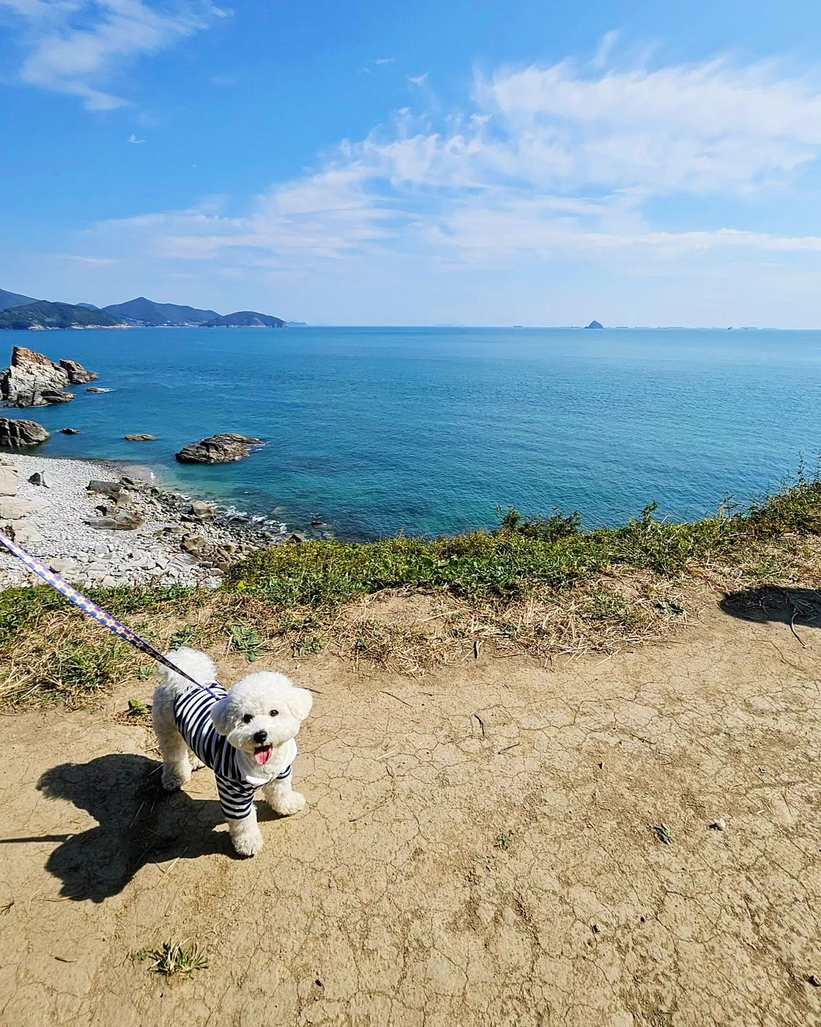 찐빵이랑 여행 못간지 너무오래됐네..🥲
조만간 꼭 델꾸갈께‼️
아쉬운대로 이번쥬 주말에는 
칭구랑 운동장이라도 가쟈💕
