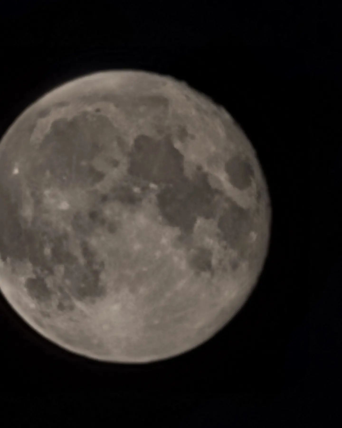 Comiendo bien bajo la luna llena 😋🌚
Feliz Chuseok familia CoLa 🥰
#😽