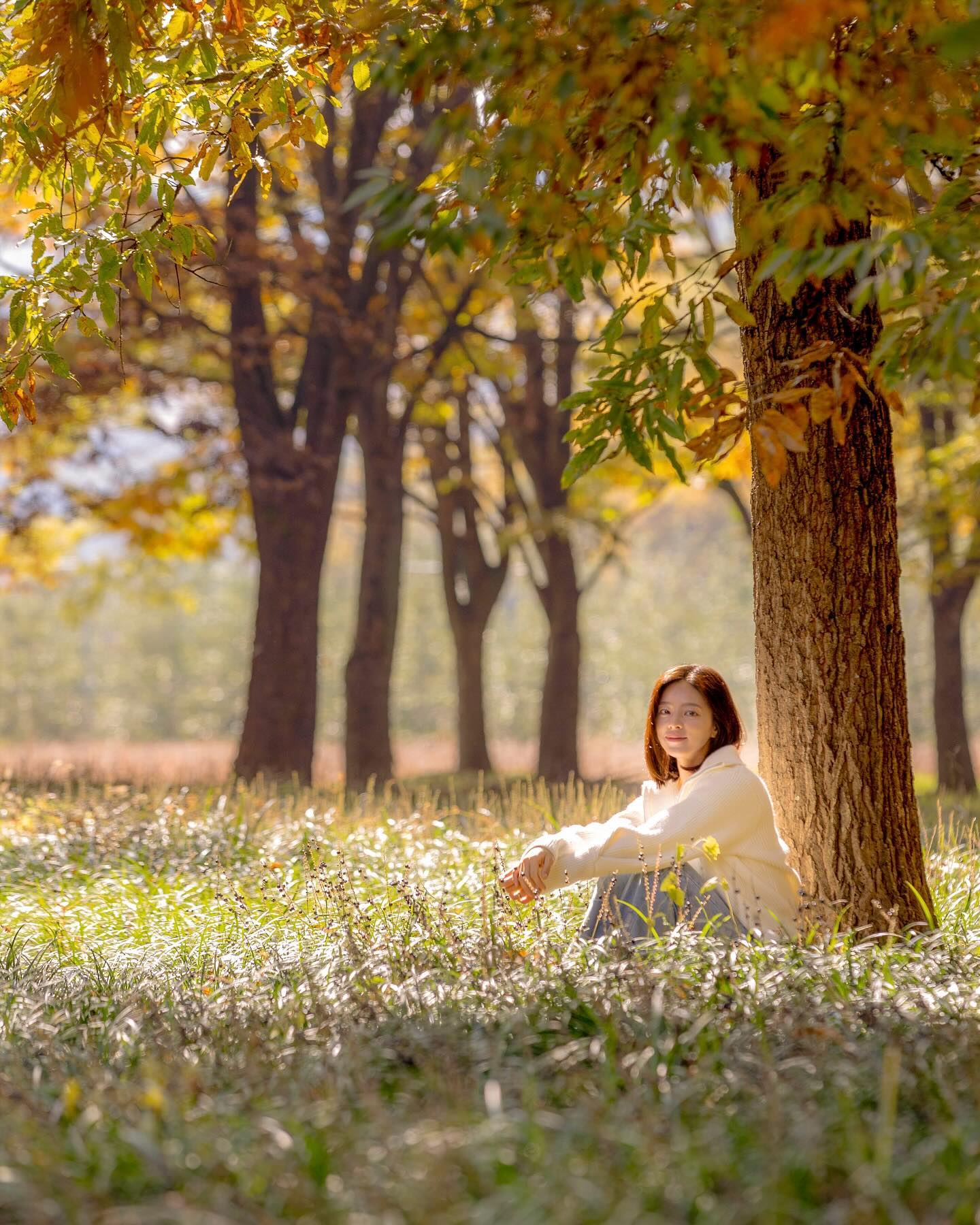 의성에서 맞이한 23년의 가을.

울창한 숲 사이로 스며드는 햇살-
여름에는 맥문동이 피어나고, 가을이면 알록달록한
단풍의 운치가 더해지는 의성 가로숲이에요.

사촌마을 바로 옆에 있어서 은행나무 구경하고 
잠시 들렀는데 산책하기 너무 좋은거 있죠! 

숲이 울창해 해가 잘 들지 않는데 
곳곳에 햇살이 스며드는 장소가 있어요.

그 풍경은 잠시 동화 속으로 풍덩🫧
사슴이 뛰어놀 것 같은 몽환적인 느낌을 자아냅니다.

숨 가쁜 일정에 정신없었는데 
벤치에 앉아 잠시 사색하기 좋았던 🧡

#국내여행 #의성여행 #가을 #가을여행지
#의성가볼만한곳 #출사 #의성맥문동 #조용한여행지
#경북여행 #경상도여행 #사촌가로숲 #여행에미치다 
#대한민국구석구석 #korea #koreatravel #koreatrip 
#uiseong #uiseongtrip
