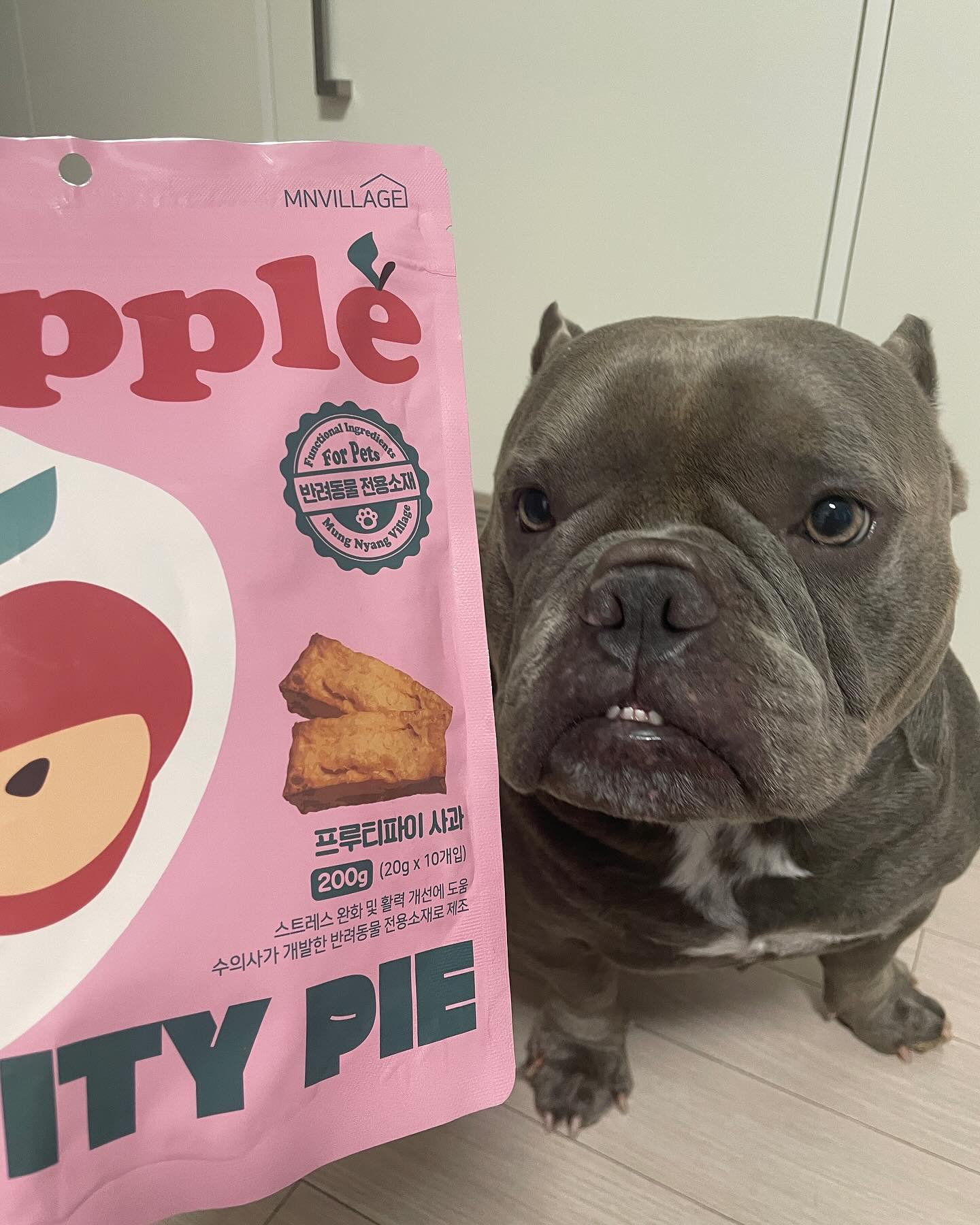 🍎빌리지닥터 푸르트파이 사과🍎
✔️기초과학 전문수의사가 개발한 반려동물 전용원료 
‘케르몬‘함유
✔️오븐베이크드 공법으로 제조
✔️국내제조,휴먼그레이드, HACCP인증
✔️반려동물전용 기초건강 보조제로 “스트레스 및 활력”에 도움

내가봐도 먹음직 스러워보이는 파이💛
제호가 좋아하고 잘먹네요💛

-

#프루티파이 #프루티파이사과 #멍냥빌리지 #협찬 #협찬문의 #협찬환영 #강아지간식 #간식 #영양제 #강아지영양제 #강아지 #강아지모델 #모델 #강아지그램 #강아지스타그램 #반려견 #반려견스타그램 #아메리칸불리 #불리 #사진 #동영상 #dogsofinstagram #dogstagram #dogoftheday #doglove #americanbully #bully