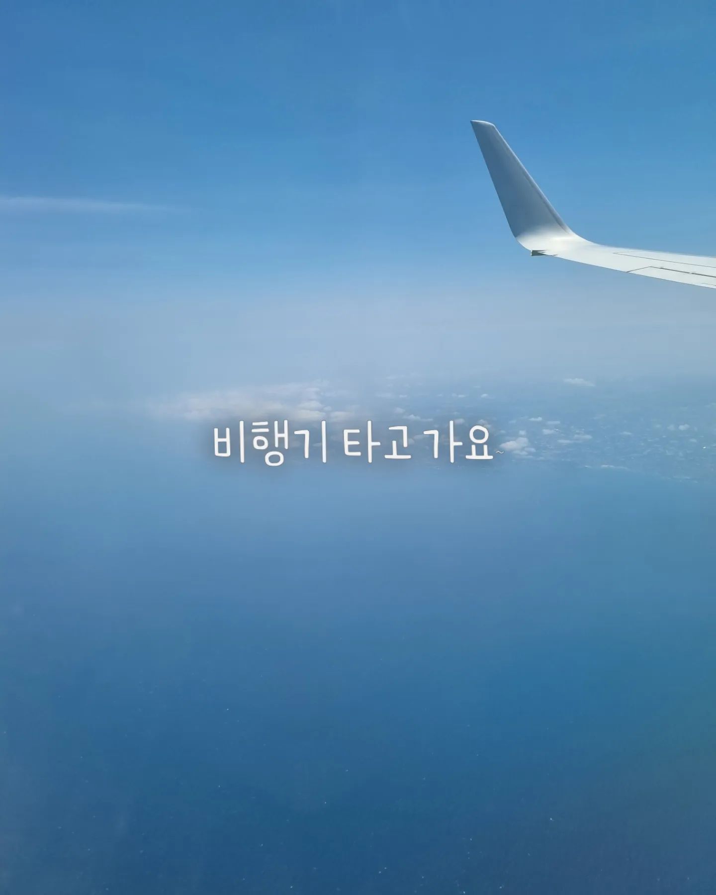 버스예매부터 비행기 예매 우당탕탕 제주여행
맛난것도 마니 먹구 드라이브도 사진도 많이 찍은 2박3일
새로운 유부가 탄생하는 시기♡
2박 3일 여정 끝♡