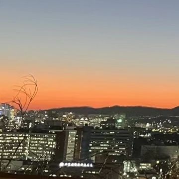 콘텐츠
