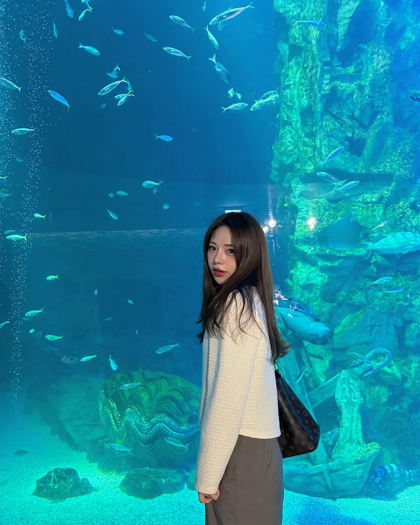 (❁´▽`❁)*✲ﾟ*〰️🐠

#롯데아쿠아리움 #럽스타그램