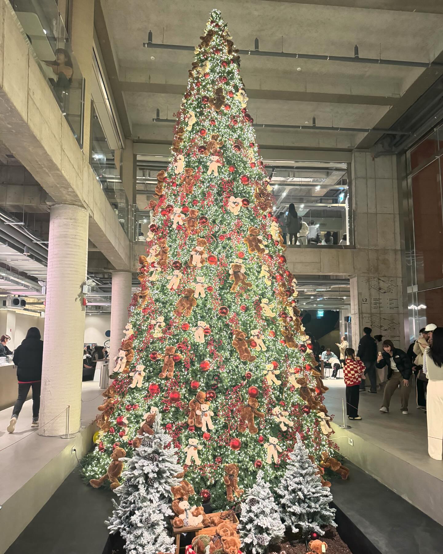 역시 크리스마스에는 트리지.🎄