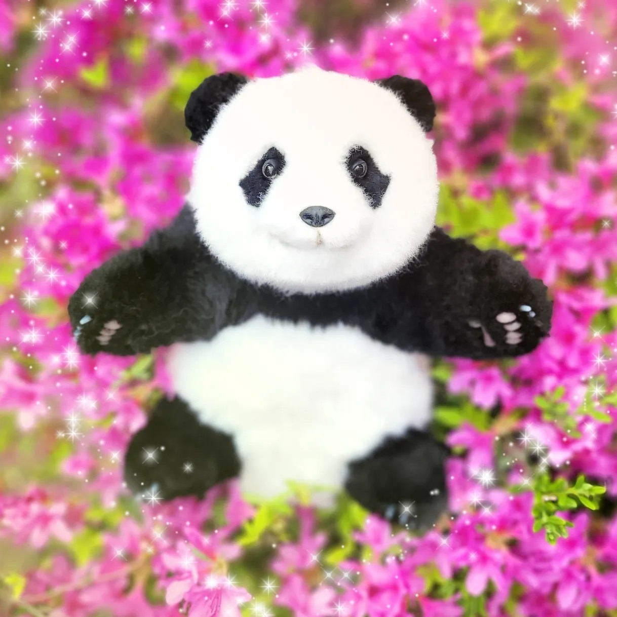아기판다 입양했어요!!!! 🩷🐼🩷
찐 푸바오닮은 판다다다 핸드메이드 인형인데요
자연속에서 찍으니 인형아니고 그냥 판다인데요?🐼
프리미엄 호주양모털로 보들보들한 털과
손발에는 판다 핑크젤리발바닥까지 ☺️

묵직한 뚠뚠이 배와 뒷태 ㅋㅋㅋ 이정도면 아기판다 입양맞죵?
굿바이 푸바오의 헛헛한 맴에 쏙들어온 판다다다 인형은
와디즈펀딩으로 만나보실수있습니다!

시나토이 유튜브 리뷰로 👉👉

#협찬#판다다다#판다인형#핸드메이드인형#어린이날선물추천#인형리뷰#팬더인형#푸바오인형#푸바오#자이언트판다#fubao #panda #pandadoll #판다다다인형 #장난감리뷰 #시나토이

pandadada_brand