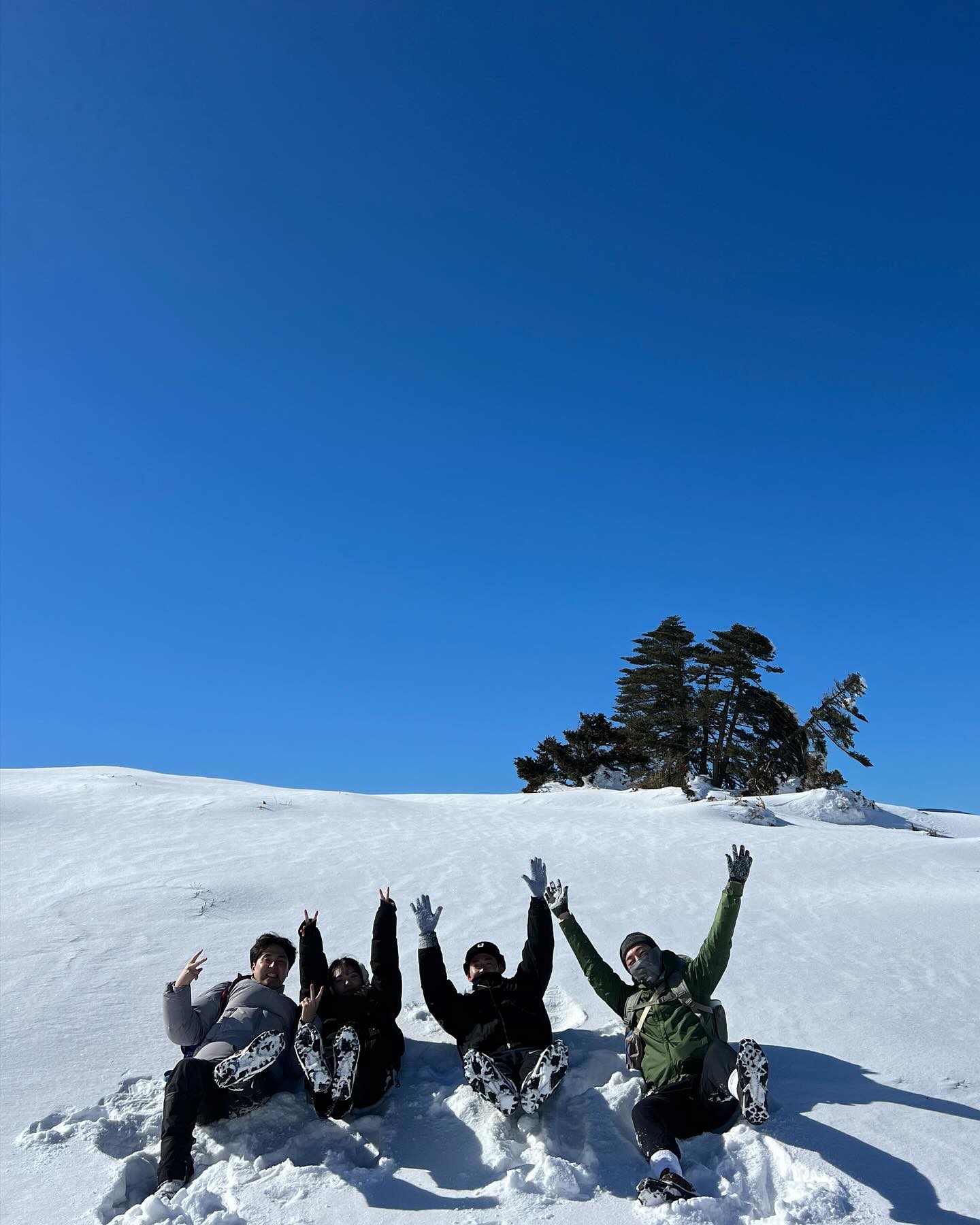 Oneway🗻