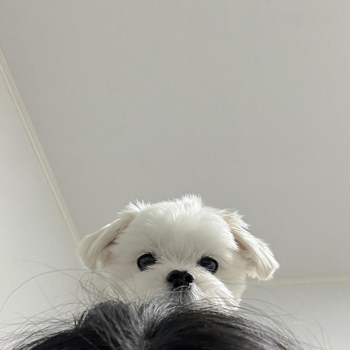 머보눈뎅...?

#감시